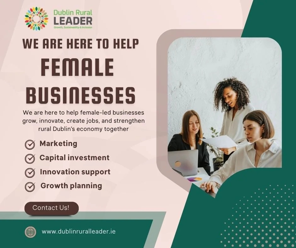 Funding Support for Female-Led Businesses in Rural Dublin