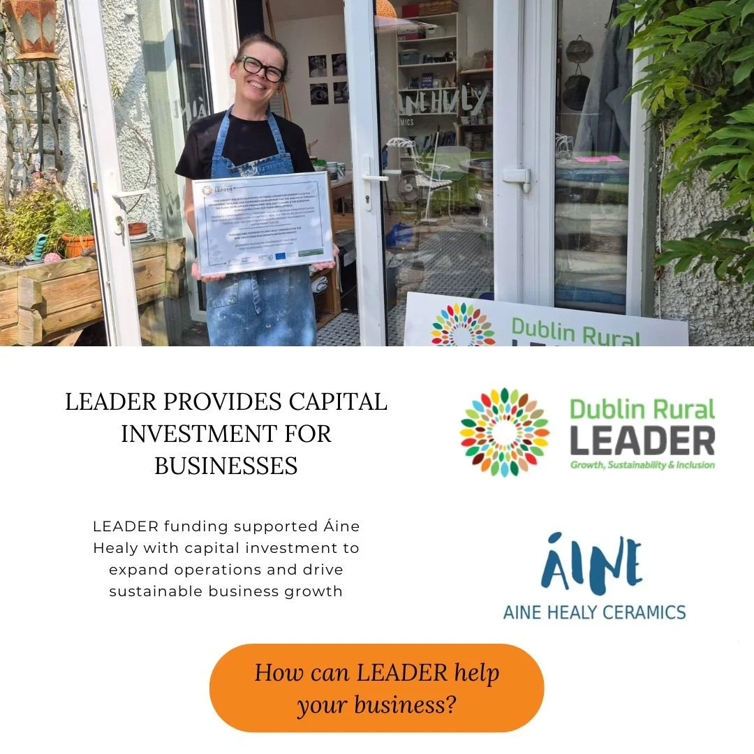 LEADER Capital Investment Supports Aine Healy Ceramics in Rural Dublin