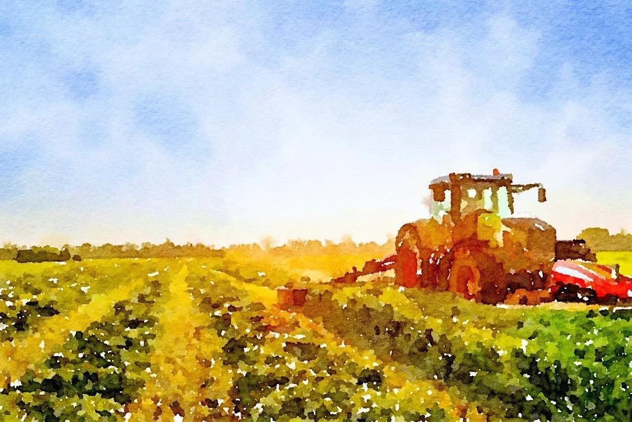 Watercolor painting of a farm field with crops and a tractor in the distance under a blue sky.