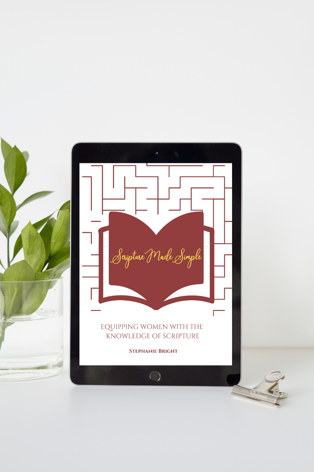 Scripture Made Simple Resource by Stephanie Bright.webp