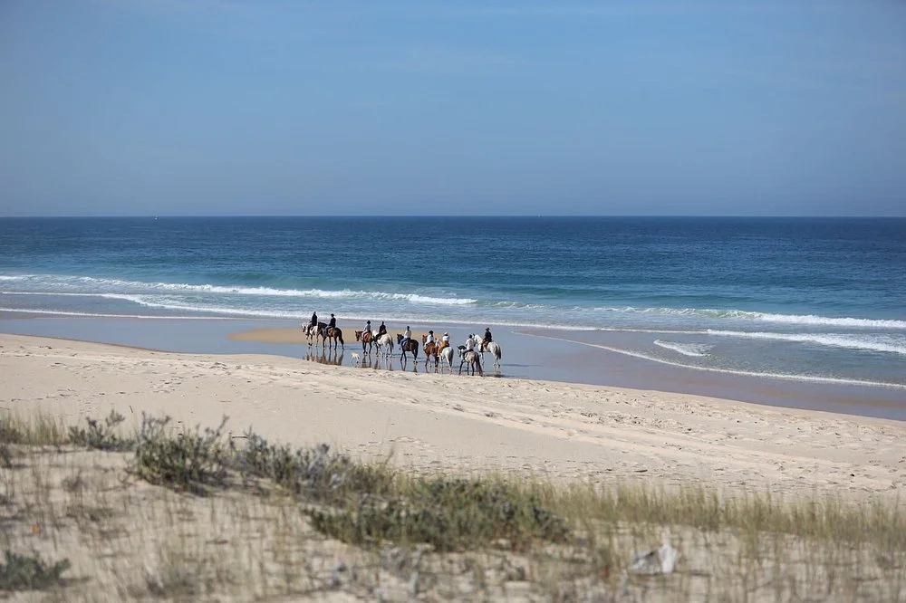 Venha disfrutar de uma experi ência única na Comporta..jpeg