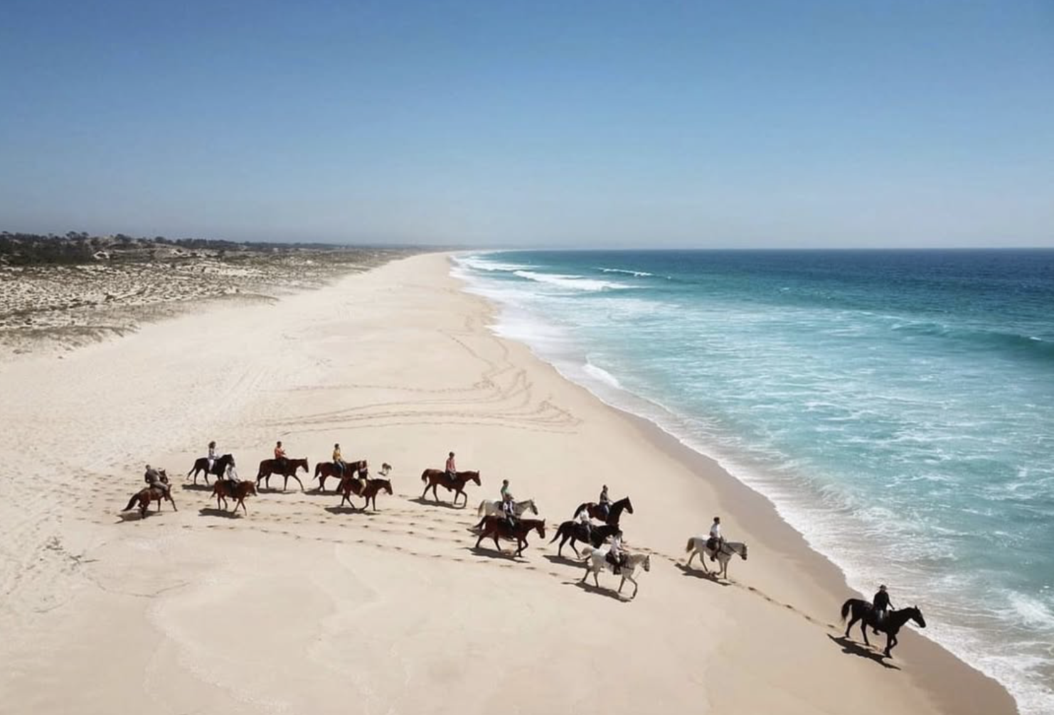 People riding horses along the sandy beach near the ocean with clear blue water and a distant shoreline under a bright sky.