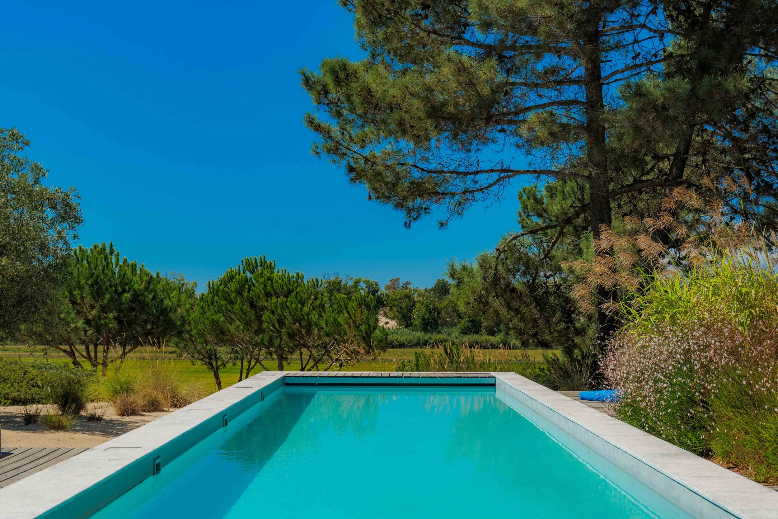 A rectangular swimming pool surrounded by lush green trees and plants under a clear blue sky.