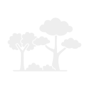 Silhouette of three trees with round canopies