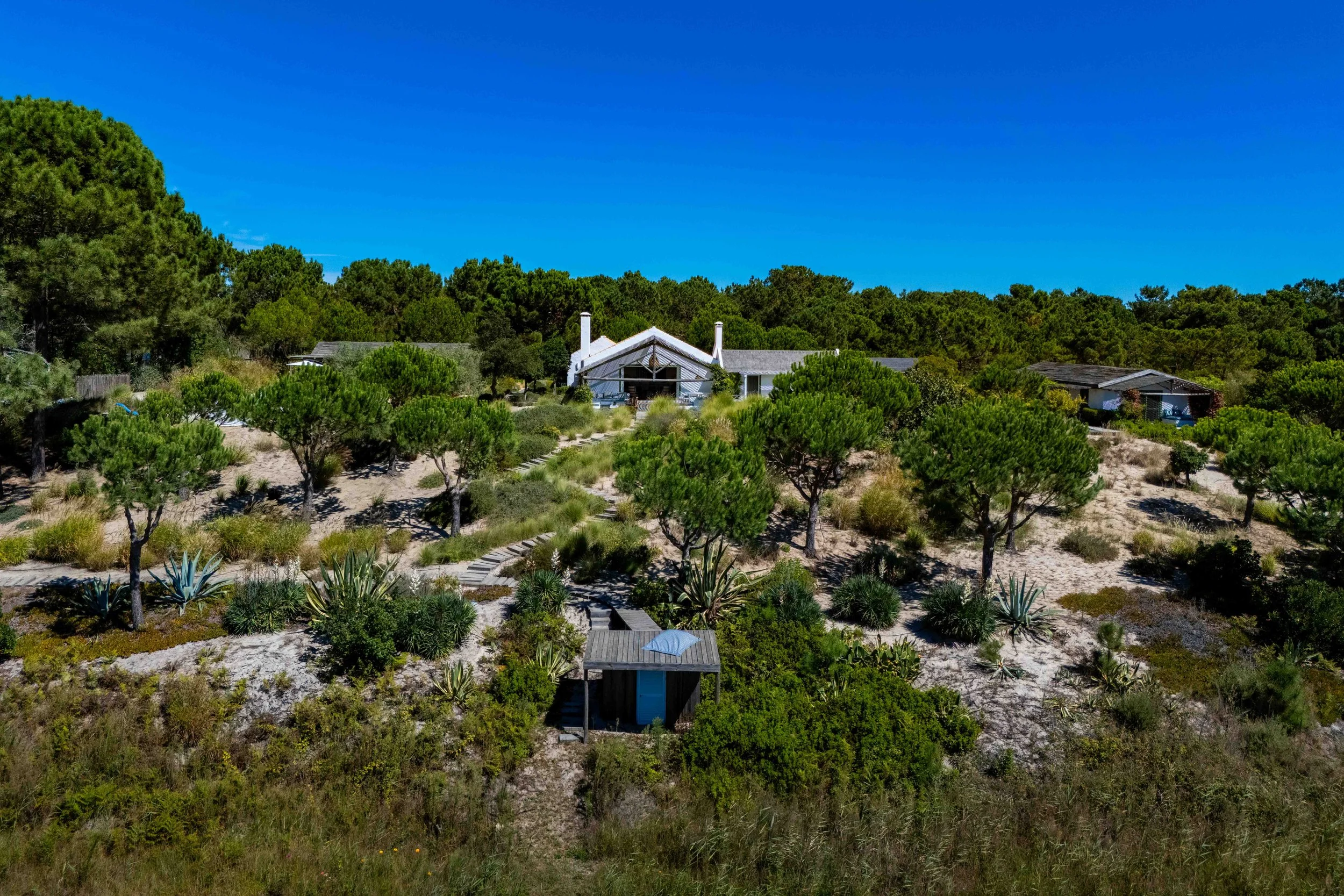 A house with a steep roof and chimneys is situated on a hill among pine trees and desert vegetation, under a bright blue sky.