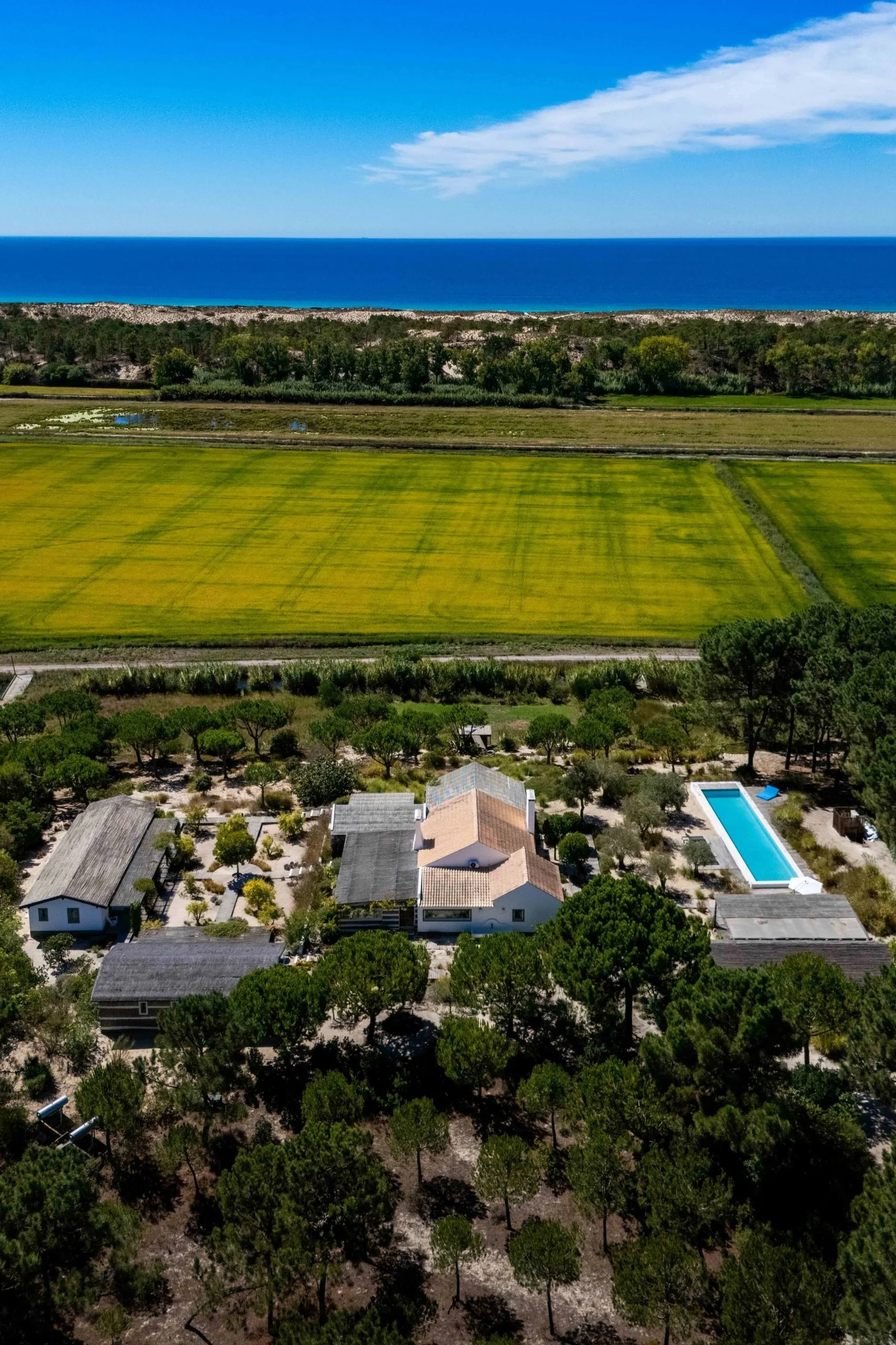 Aerial view of a coastal landscape with a farmstead, green fields, trees, and the ocean in the background.