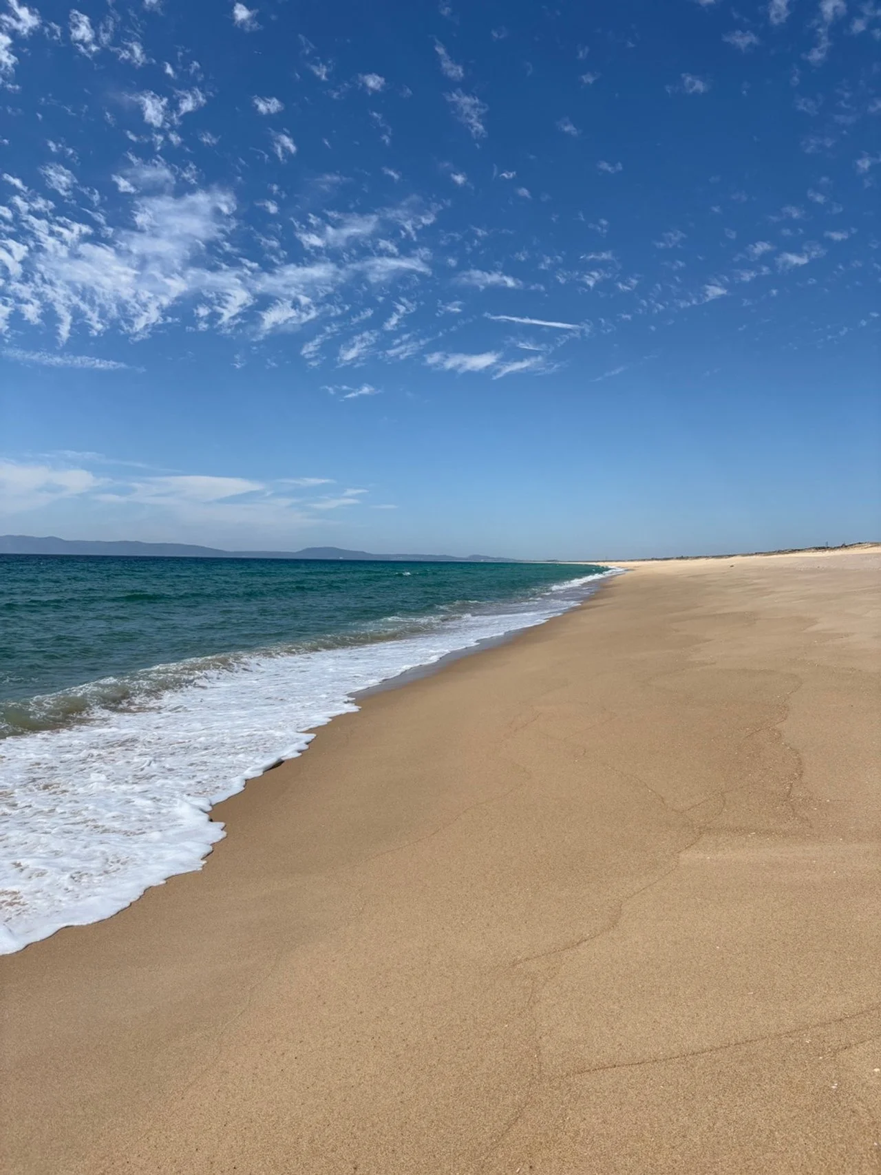 Sunny beach with golden sand, gentle waves, and a blue sky with wispy clouds.