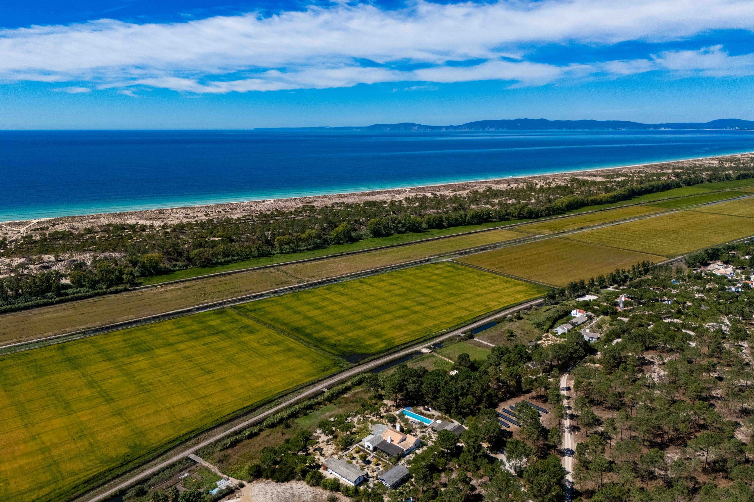 Aerial view of farmland near coastline with blue ocean, sandy beach, and a few buildings surrounded by trees.