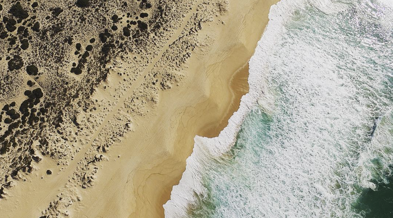 An aerial view of a beach showing dark shrubs and plants on sand dunes on the left, with sandy beach and waves crashing onto the shore on the right.