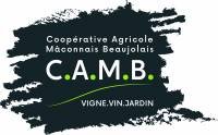 logo-CAMB--200x124.jpg
