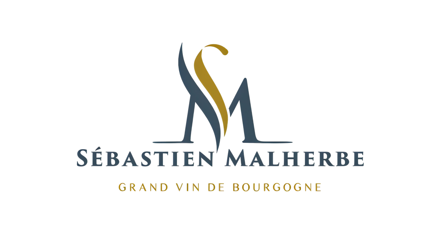 LOGO VIN BOURGOGNE FOND BLANC.png