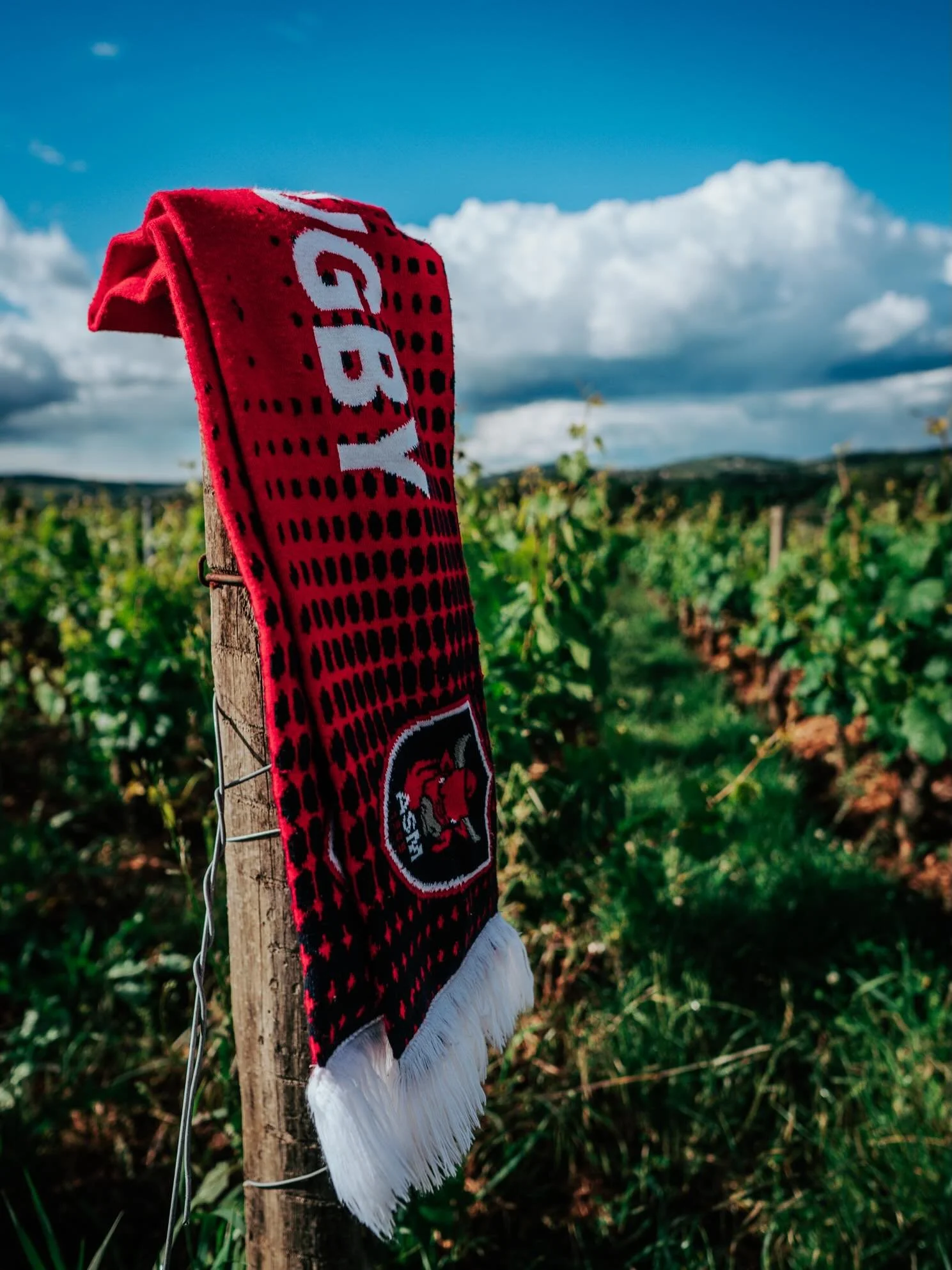 M&acirc;con se pare en Rouge &amp; Bleu !🔴🔵