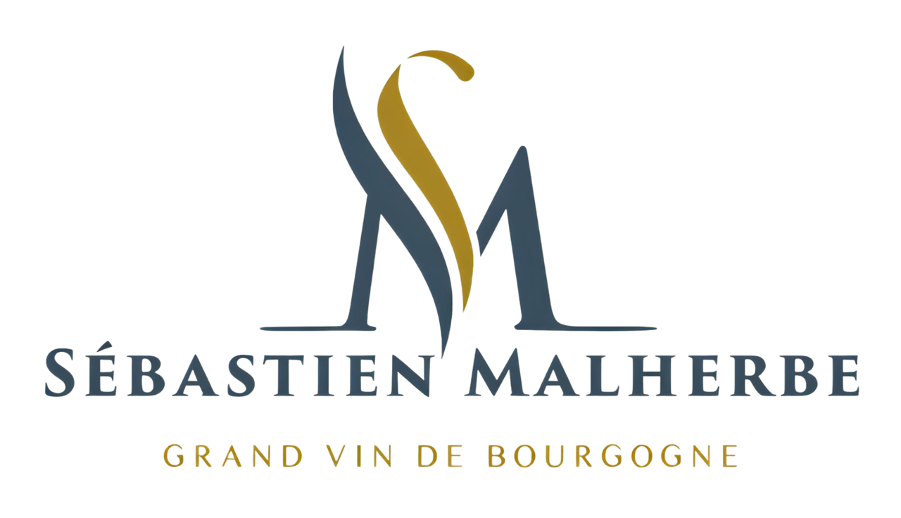 LOGO VIN GOURGOGNE.png