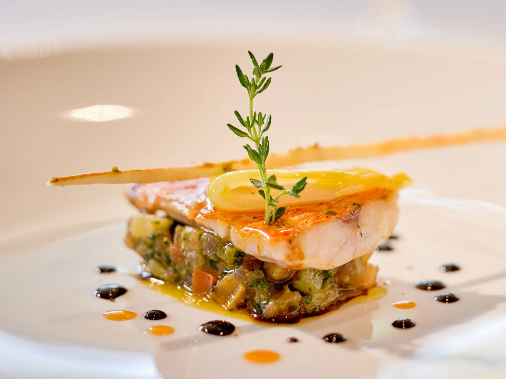High-end plated seafood dish with a seared fillet, garnished with herbs and a thin crisp, served over a vegetable or grain medley with decorative sauce dots.