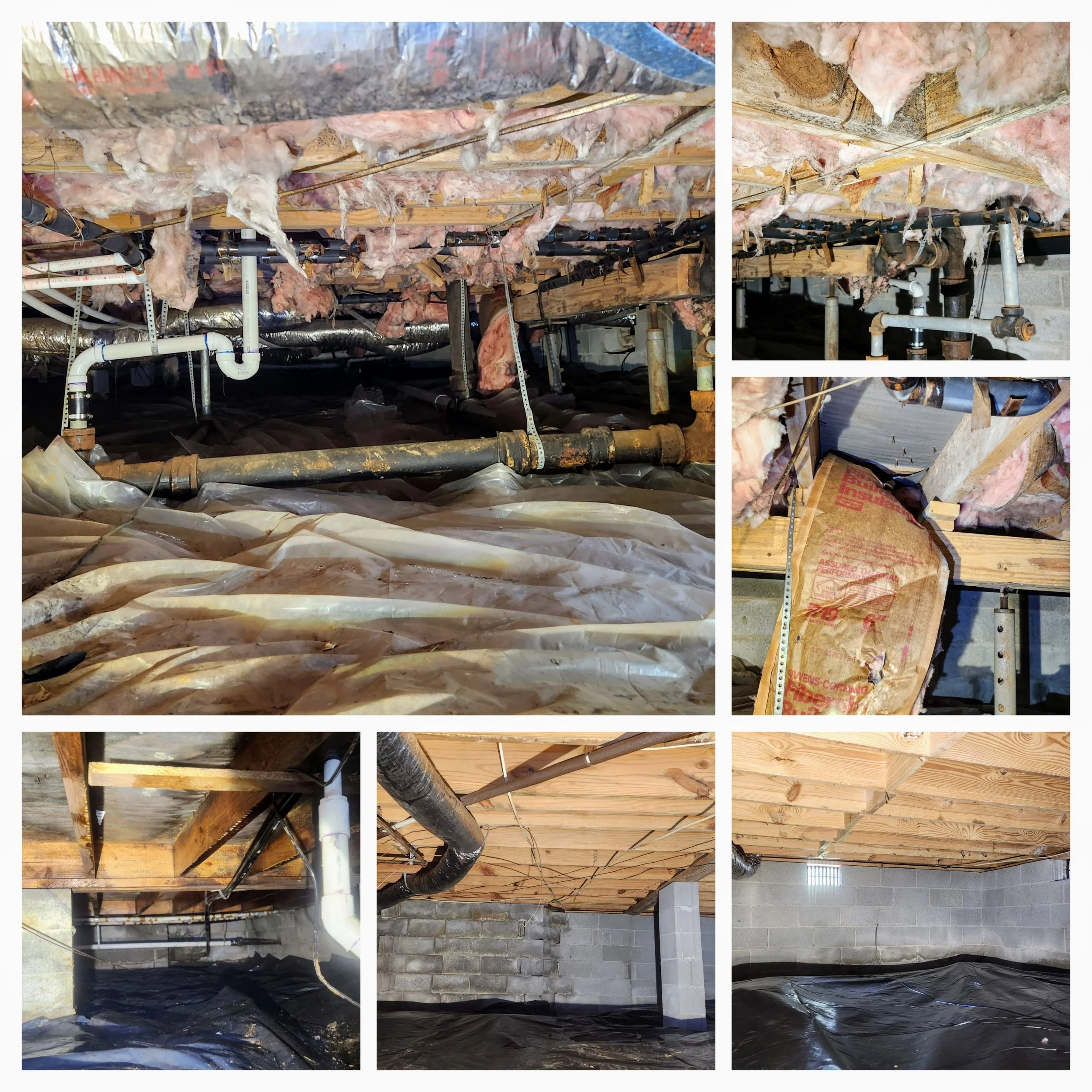 Storm Damage and Mold: What to Do in the First 48 Hours