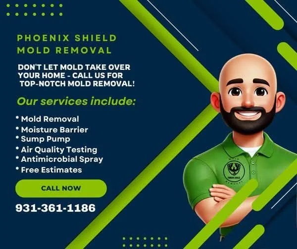 The Real Benefits of Professional Mold Removal