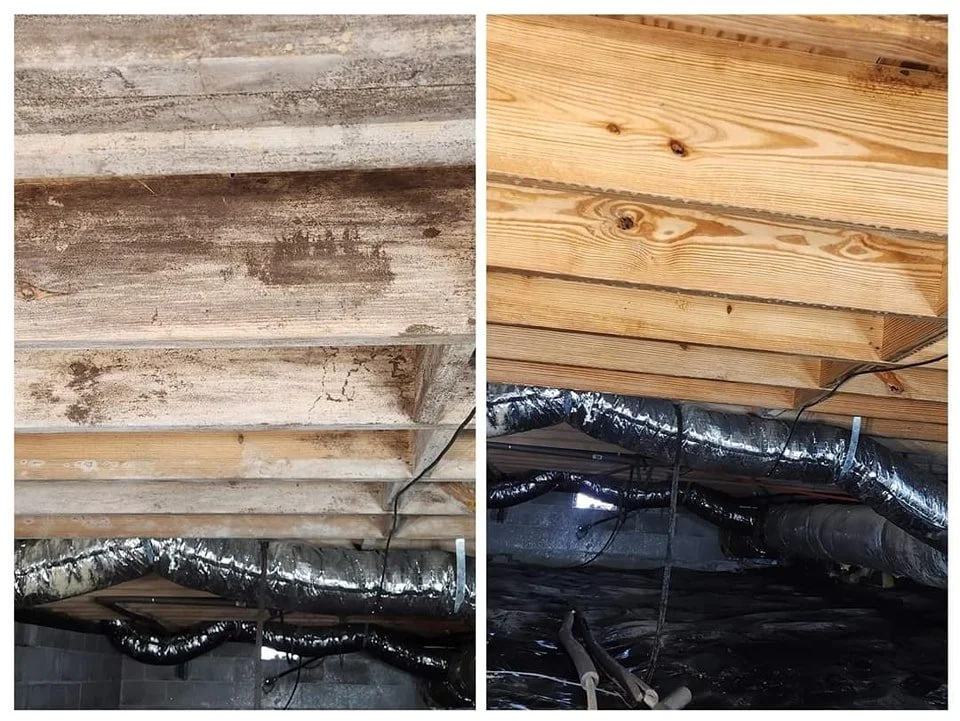 mold1.jpg