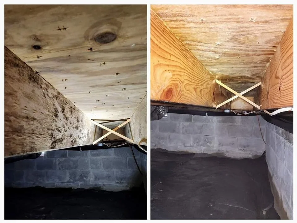 crawlspace3.jpg