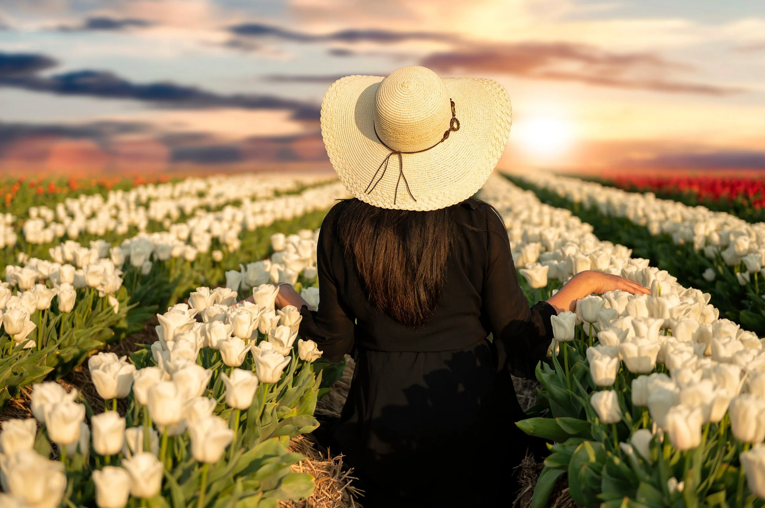 A woman wearing a large straw hat and black clothing sitting in a tulip field during sunset.