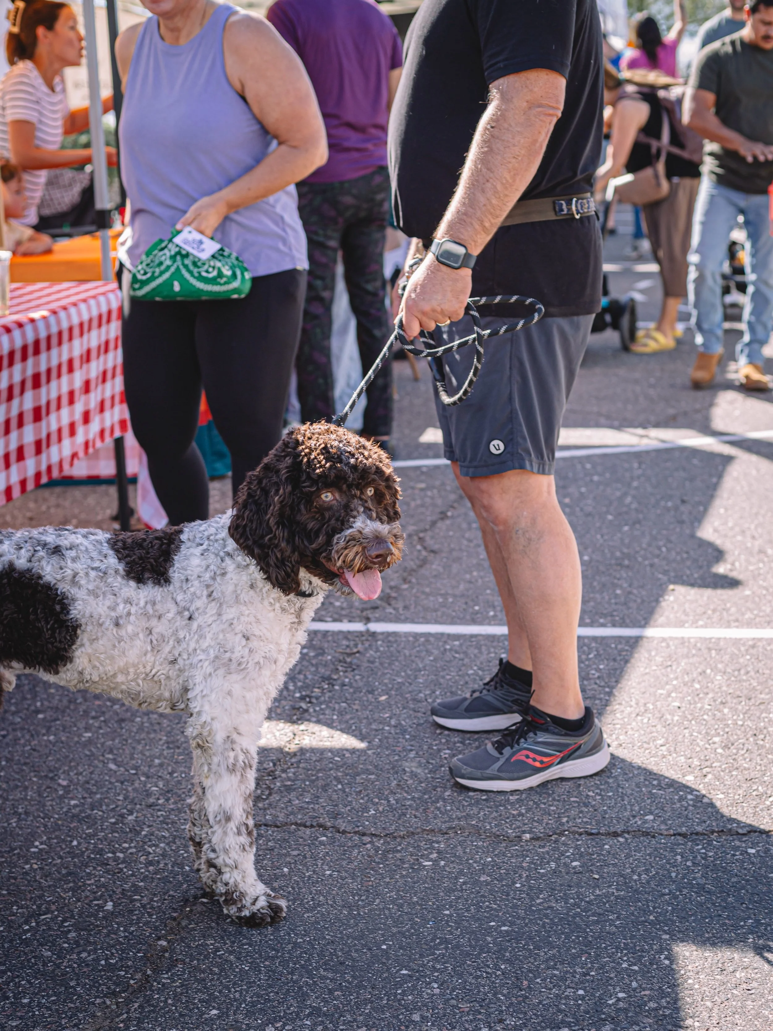 A full market bag for you, a good walk for them. 

It&rsquo;s market morning! We&rsquo;re at Eastmark Great Park today from 7&ndash;11am. 

📷: @rachjusteats 

#eastmarkfarmersmarket #eastmarkaz #mesaaz #mesafarmersmarket #shoplocalaz