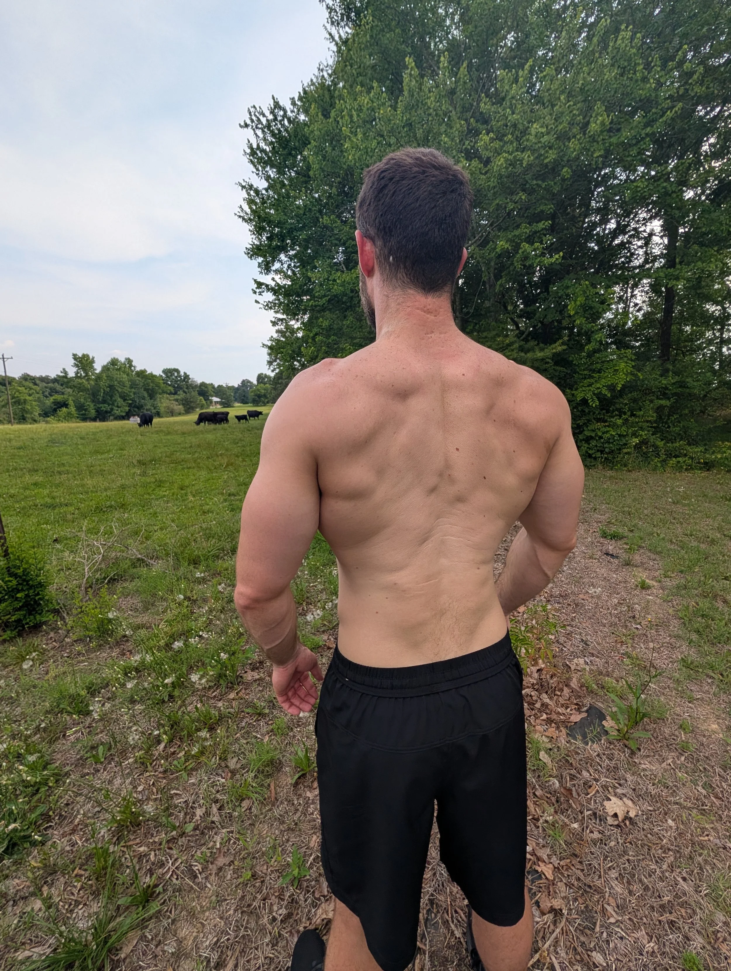 Visualization and Exercise 