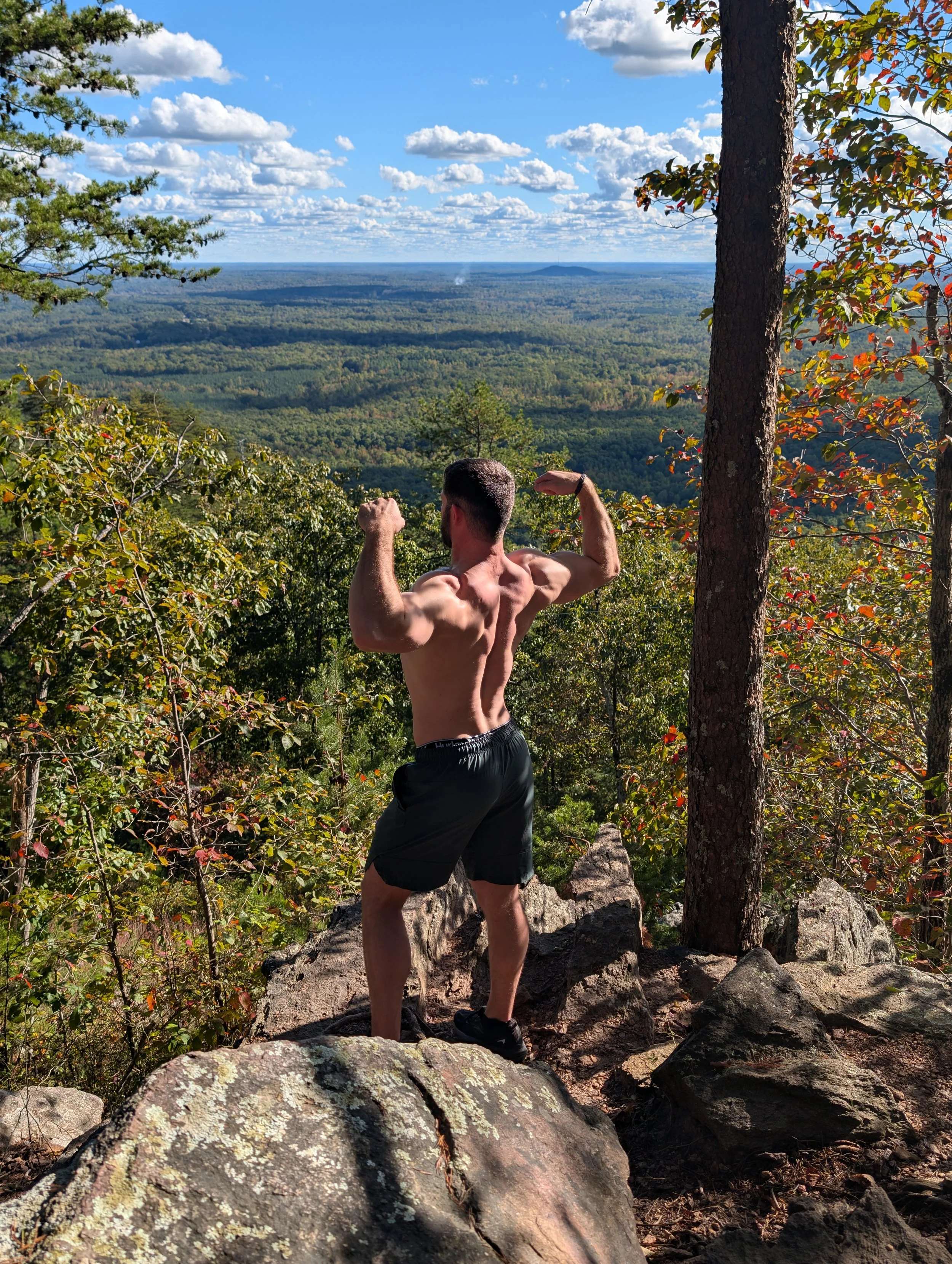 A muscular man in black shorts standing on a rocky ledge in a forest, striking a flexing pose with a view of a vast, green landscape and a partly cloudy sky in the background.