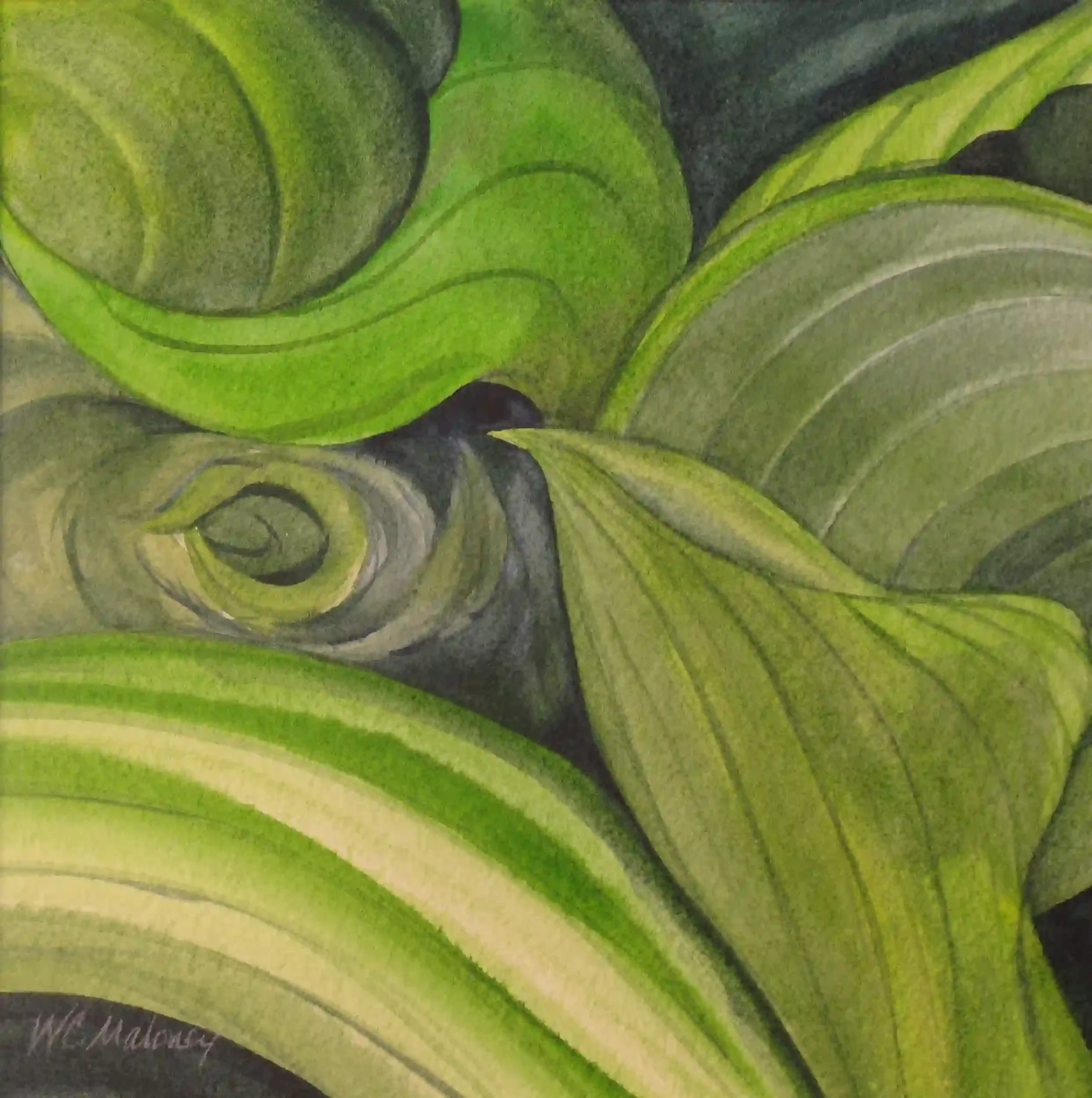  Spring Unfurling I  Archival quality fine art print from my original art. Image area: 10 x 10" plus 1" white border. $125