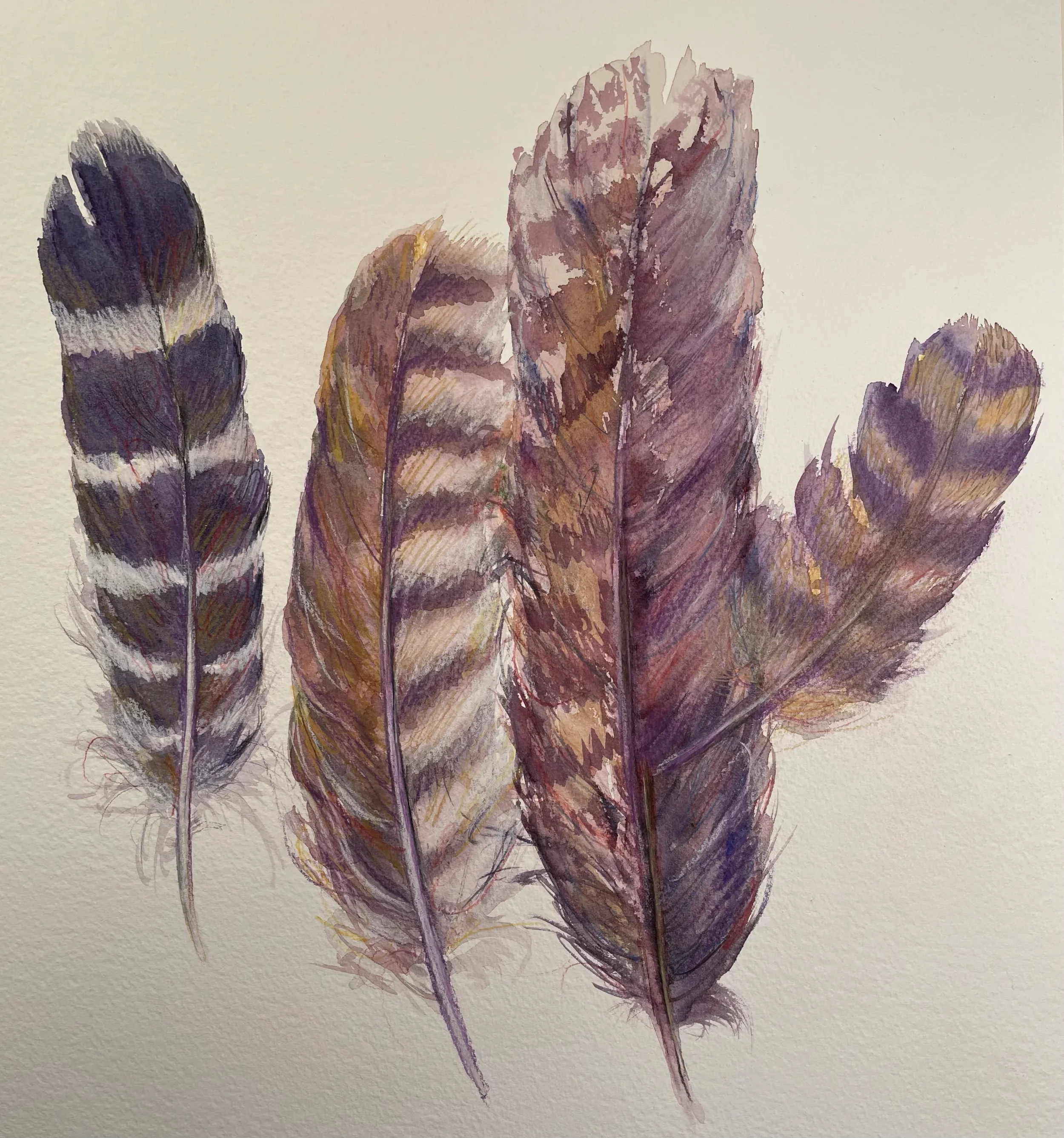  Four Feathers  Watercolor, colored pencil, 20-1/2 x 20-1/2" German silver metal frame, white mat. 2022. $975