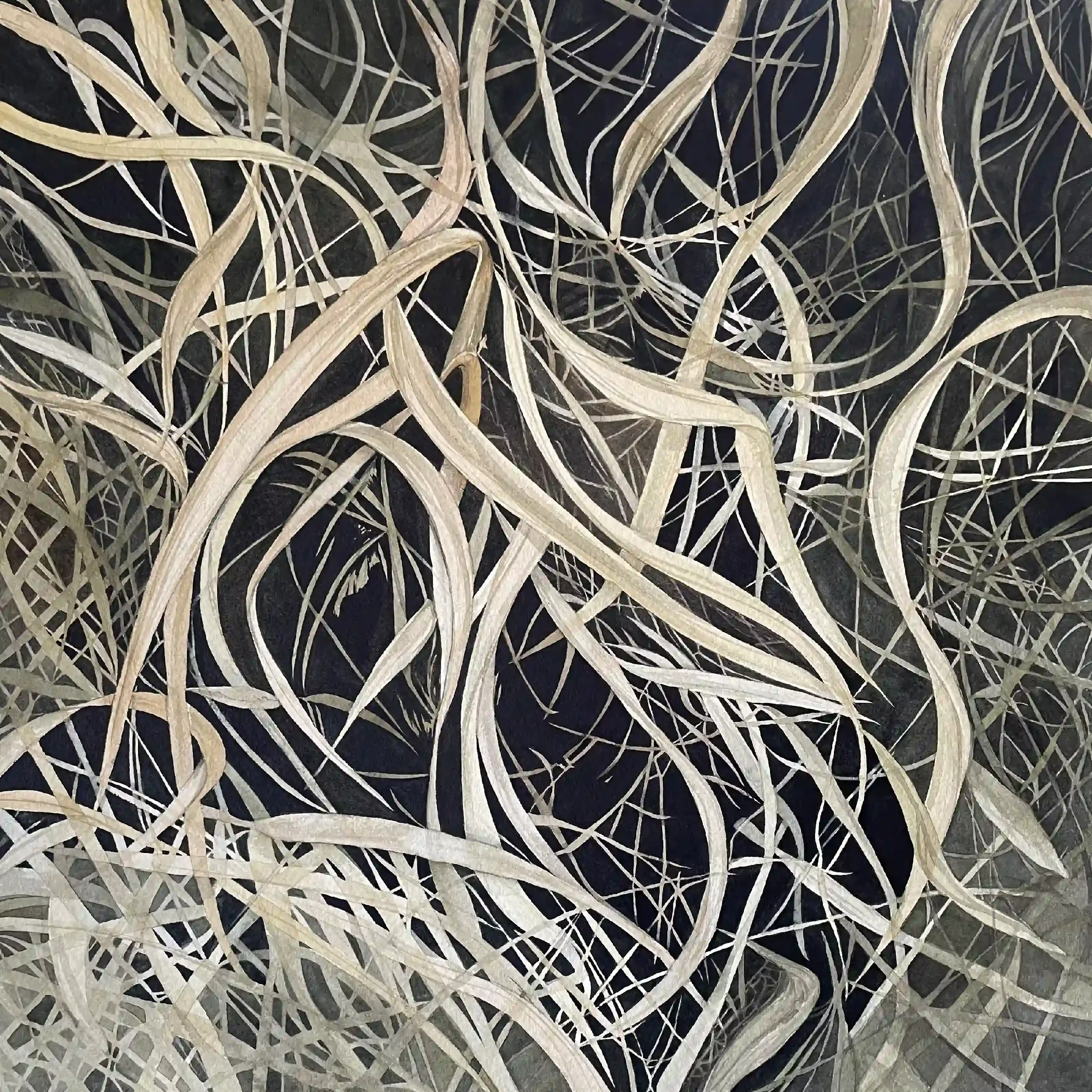 Solo Exhibition: In Between The Lines