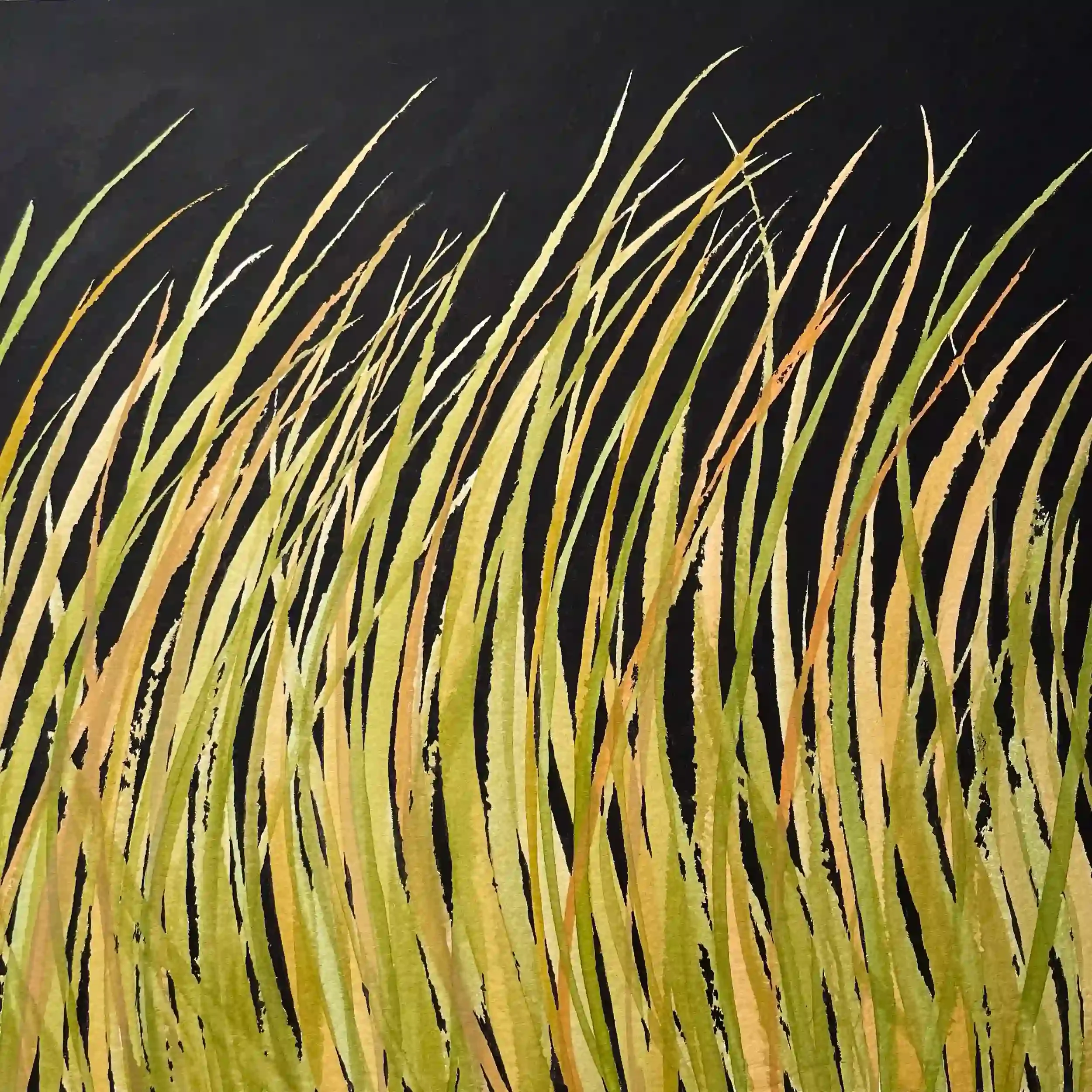  Night Grasses  Watercolor and gouache on paper, 16-1/8 x 16-1/8" Black metal frame, white mat. 2024. $825