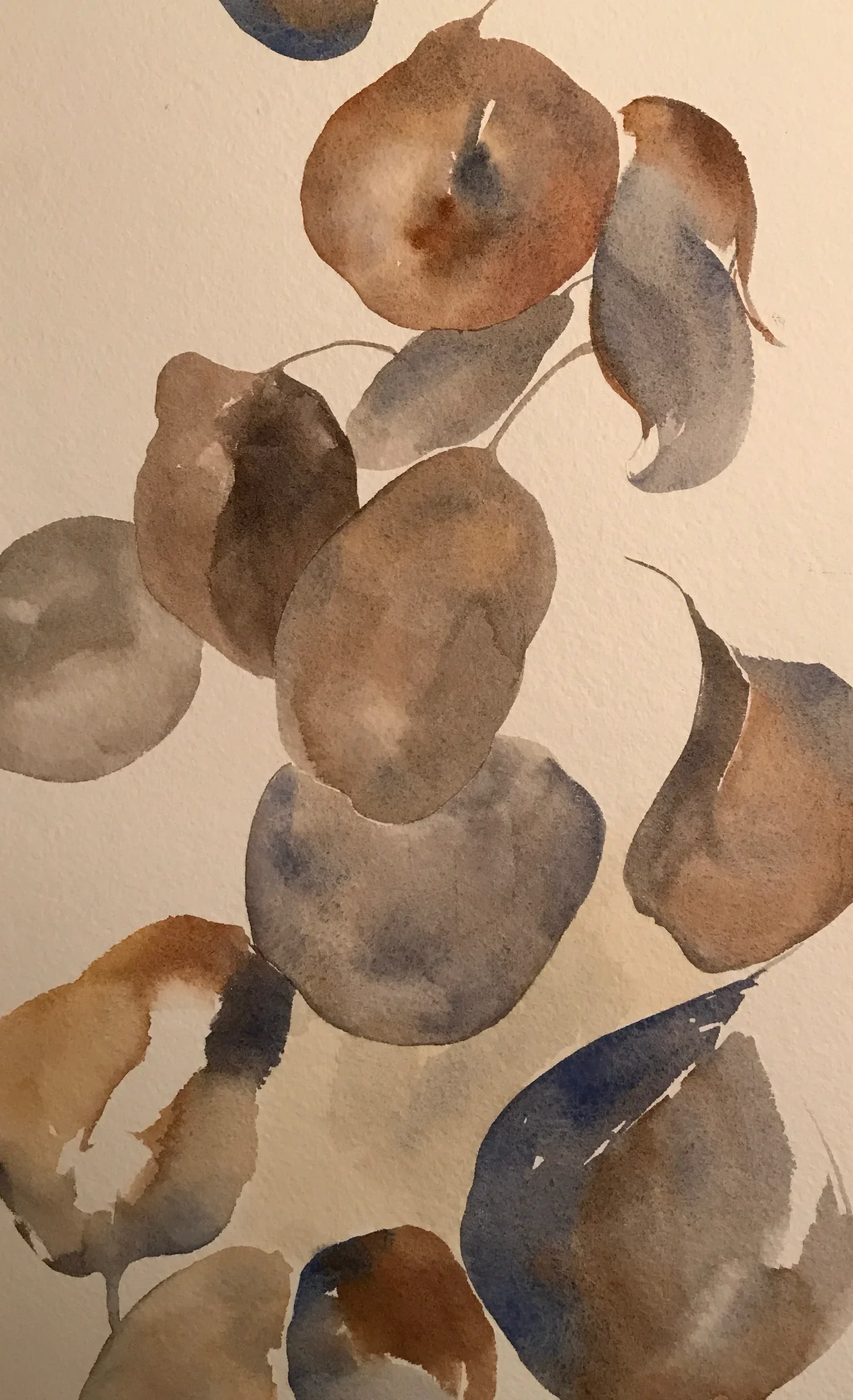  November Pods  Watercolor, 19-1/8 x 14-5/8" Wood frame, white mat with tan liner. 2017. $675