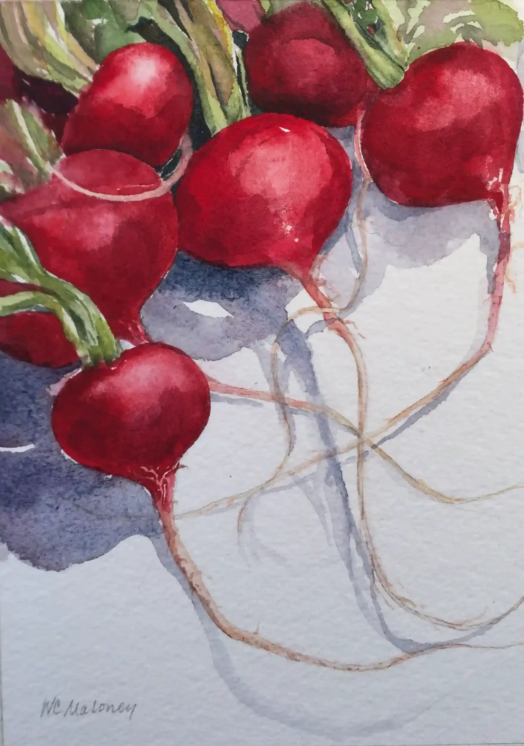  Radishes with Tails  Watercolor, 11 x 9" Brushed silver metal frame, white mat. 2017. $500