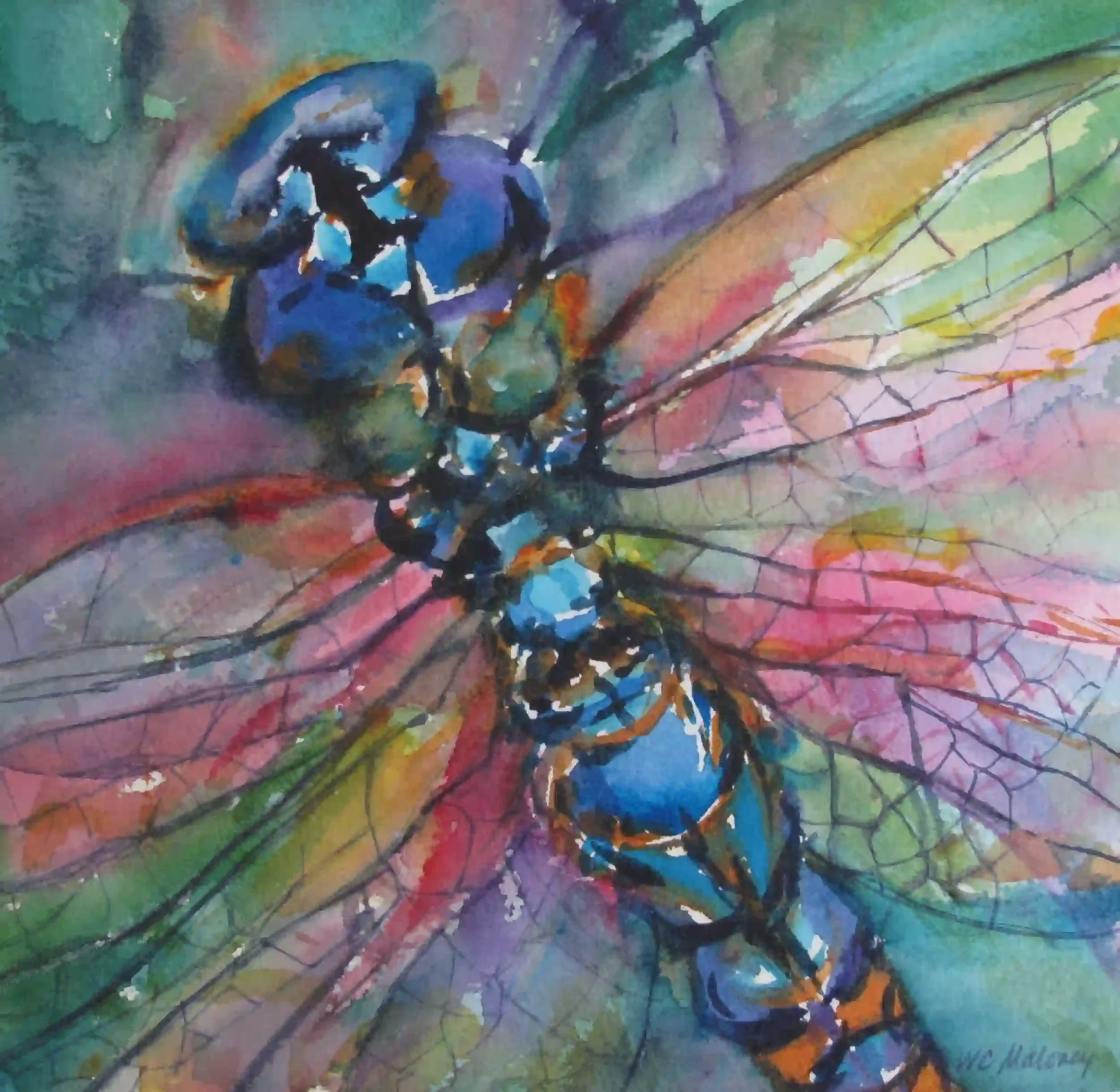  Dragonfly  Archival quality fine art print from my original art. Image area: 10 x 10" plus 1" white border. $125