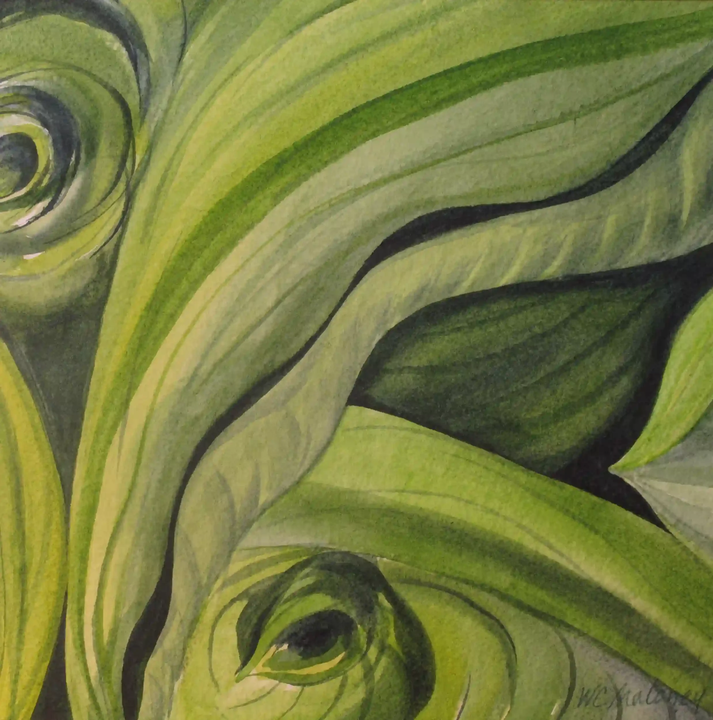  Spring Unfurling II  Archival quality fine art print from my original art. Image area: 10 x 10" plus 1" white border. $125