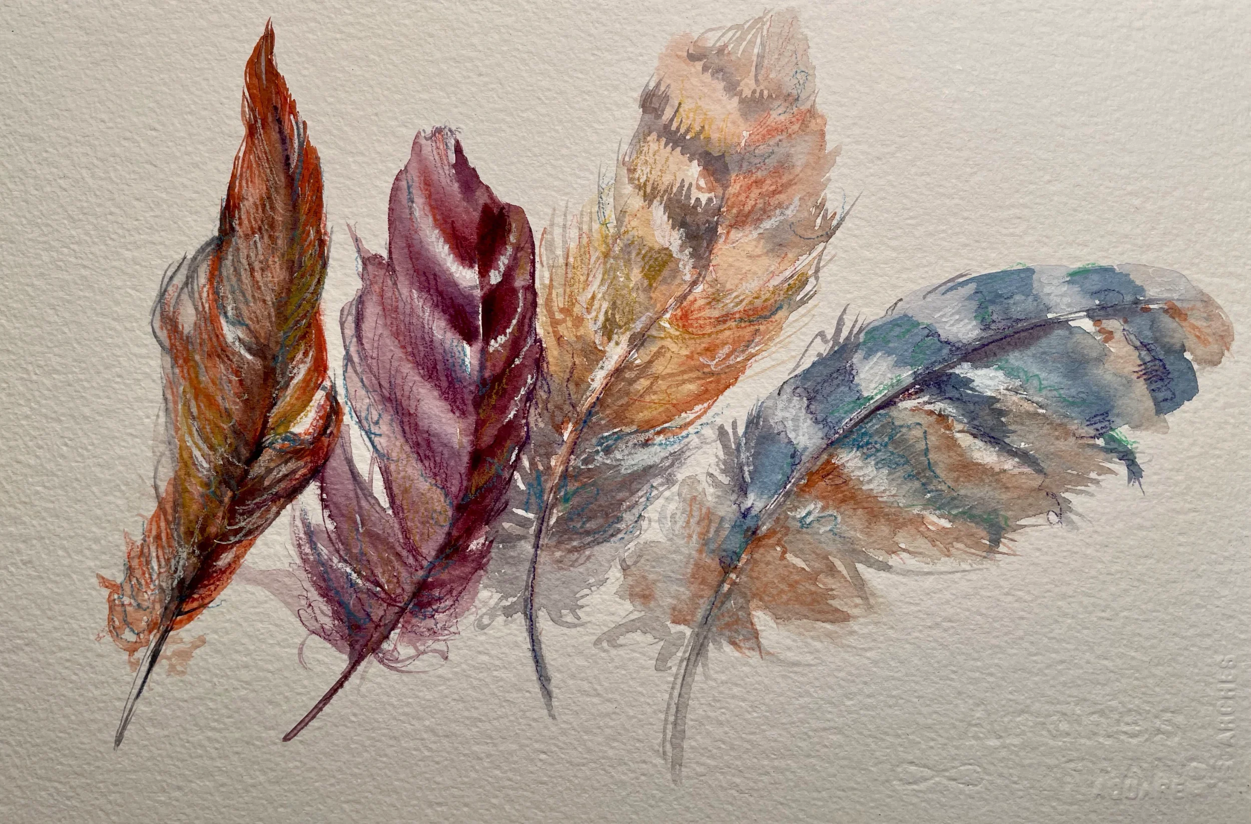  Blue Feather  Watercolor, colored pencil, 14-1/8 x 18-1/8" German silver metal frame, white mat with tan liner. 2022. $750