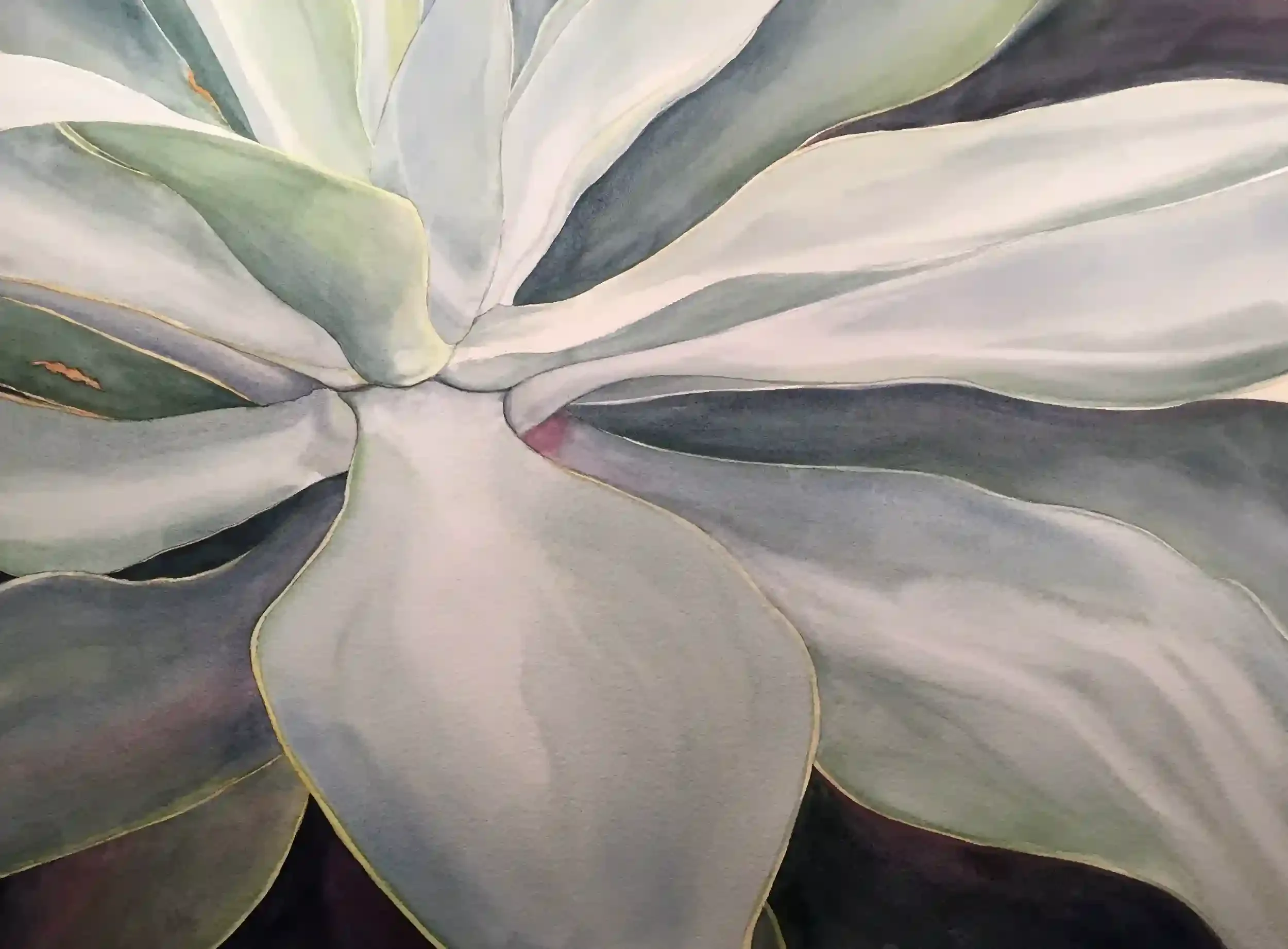  Agave Sprawl  Archival quality fine art print from my original art. Image area: 20 x 28" plus 1" white border. $225