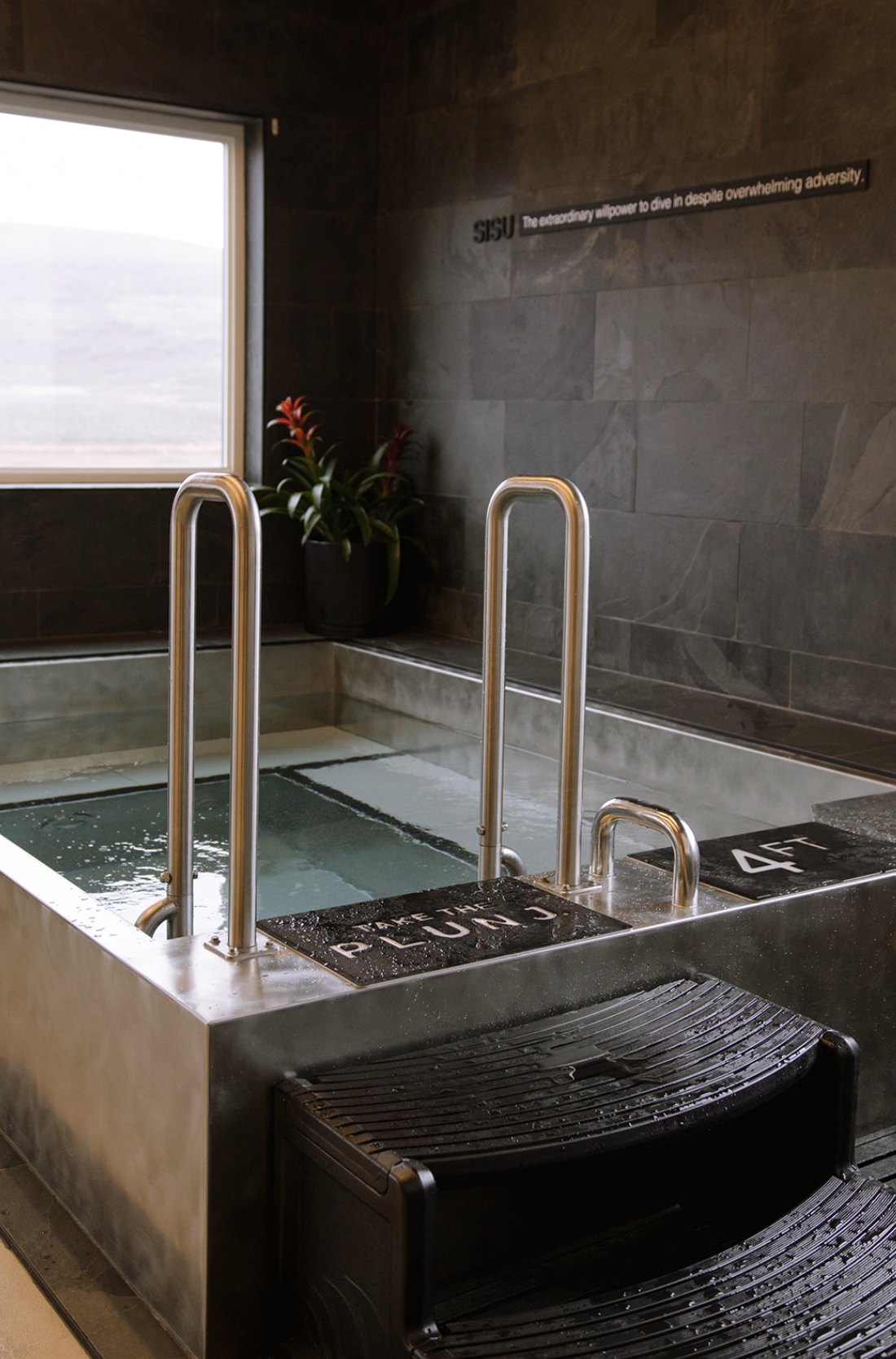 Indoor hot tub with metal handrails and a sign that says 'DIVE IN THE DEEP END'. A window with a view and a potted plant in the corner.