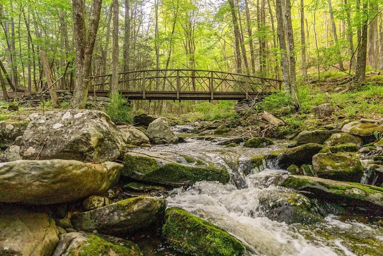 19_Outside Bridge.jpg