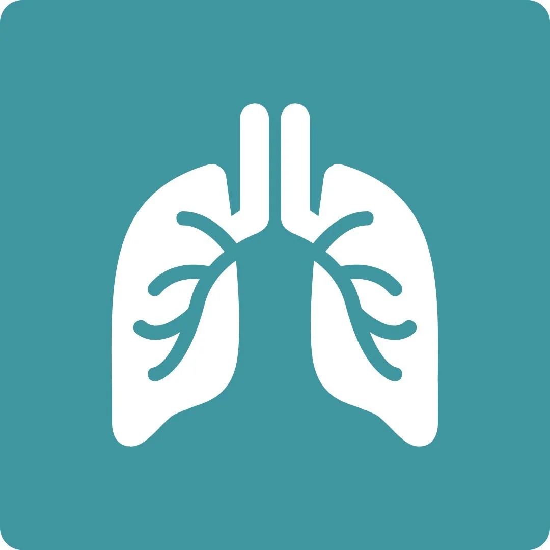 Icon of human lungs in white on teal background.