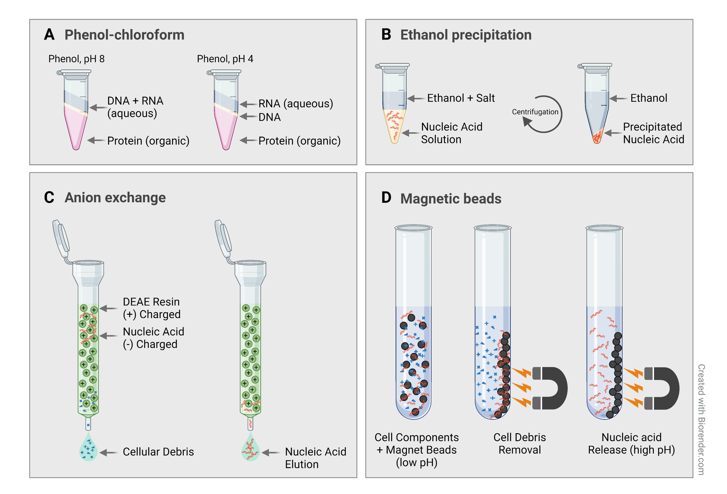 Clean up your act: DNA and RNA purity — BioEcho Life Sciences