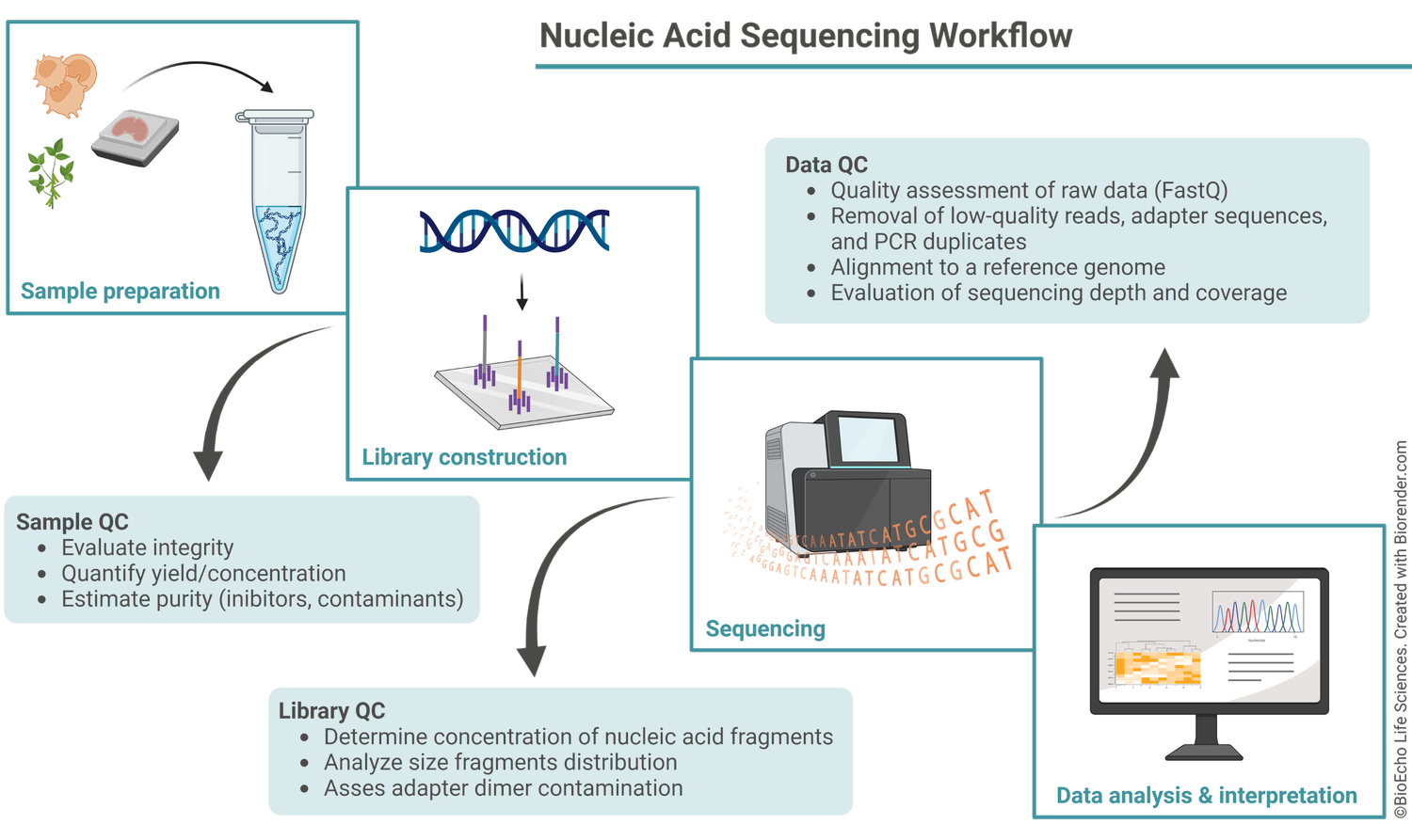 Revealing the genome's secrets: advances and applications of next ...