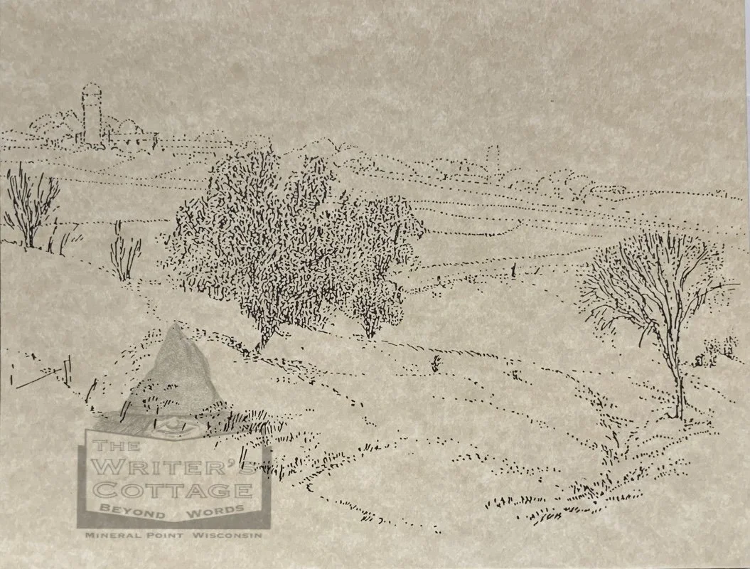 M point of view1.jpg