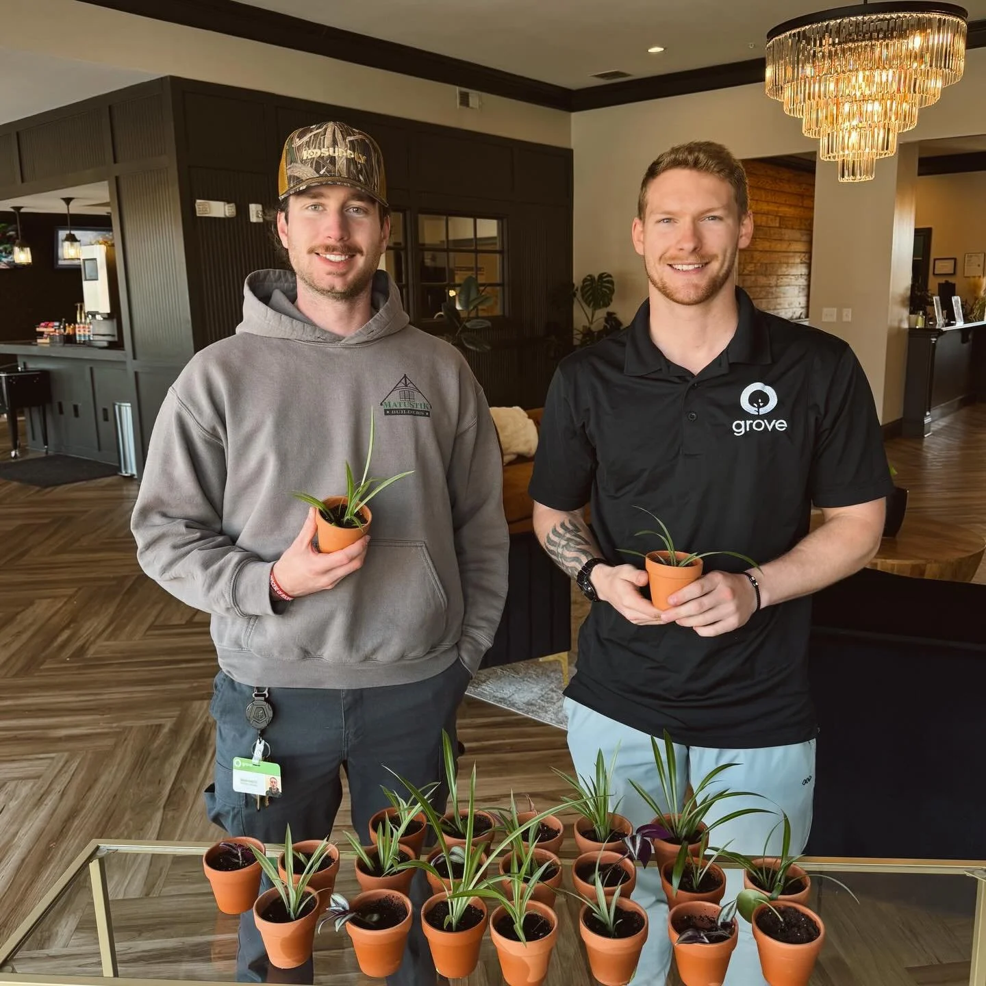 Stop by the office around 2PM &amp; pick up a baby plant!💚🪴