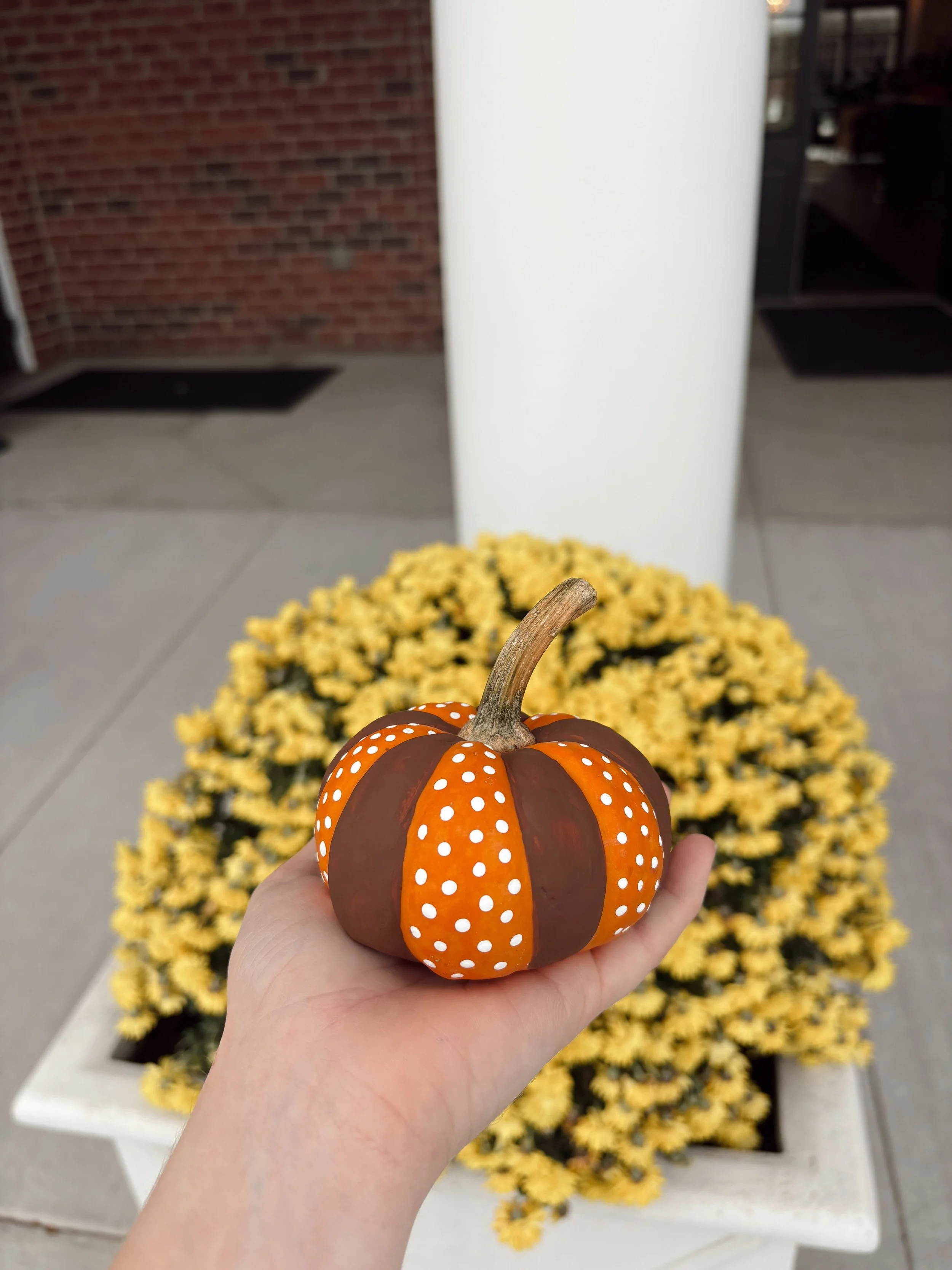 🎃🍂 Thank you to everyone who came out to our Pumpkin Painting Event! We had so much fun getting into the fall spirit with you all! 🧡🎨

Keep an eye out for more events to come soon! We would love to see you here!💚