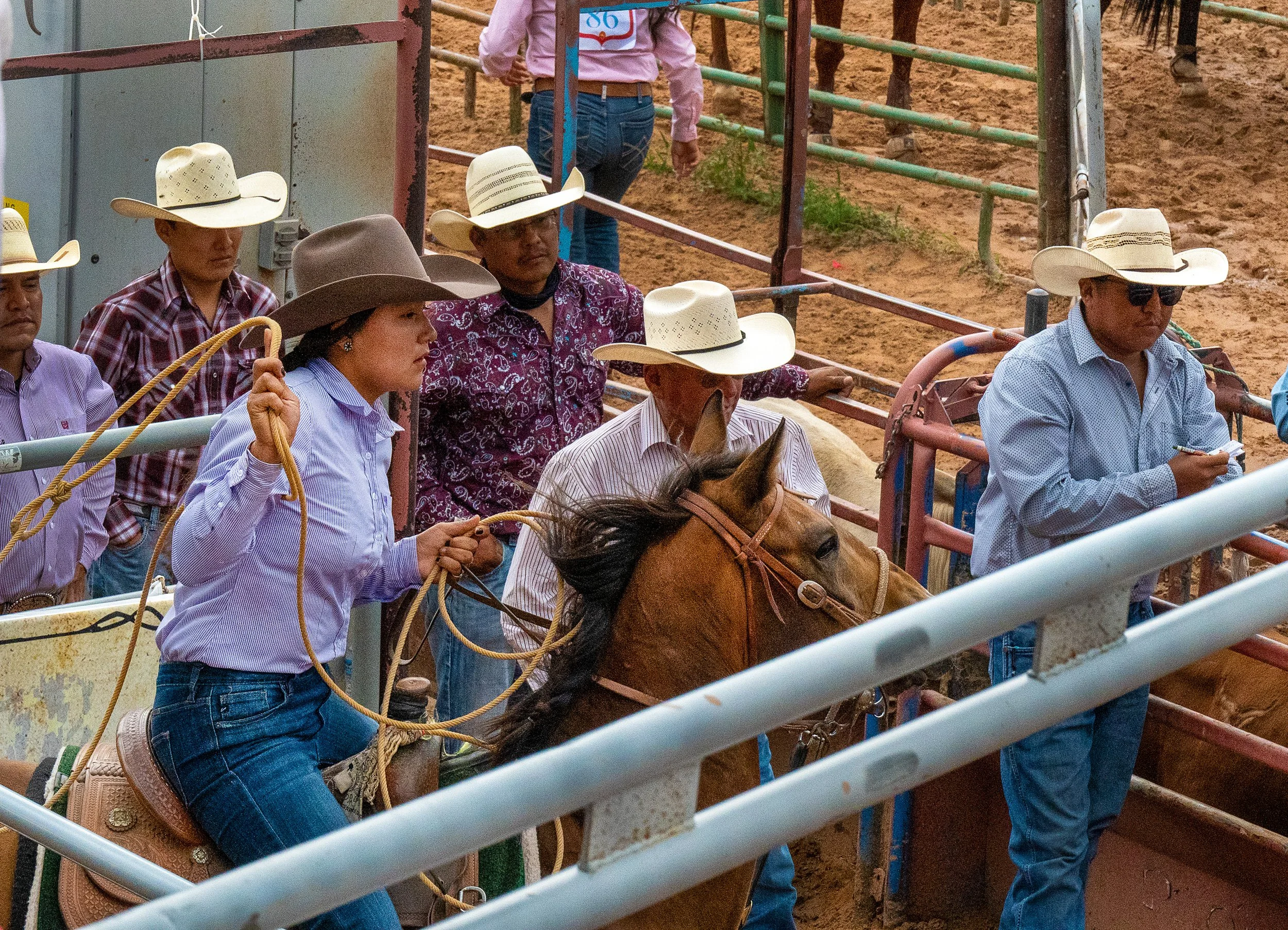 Before the calf is released from the chute, a woman rodeo competitor waits for the signal
