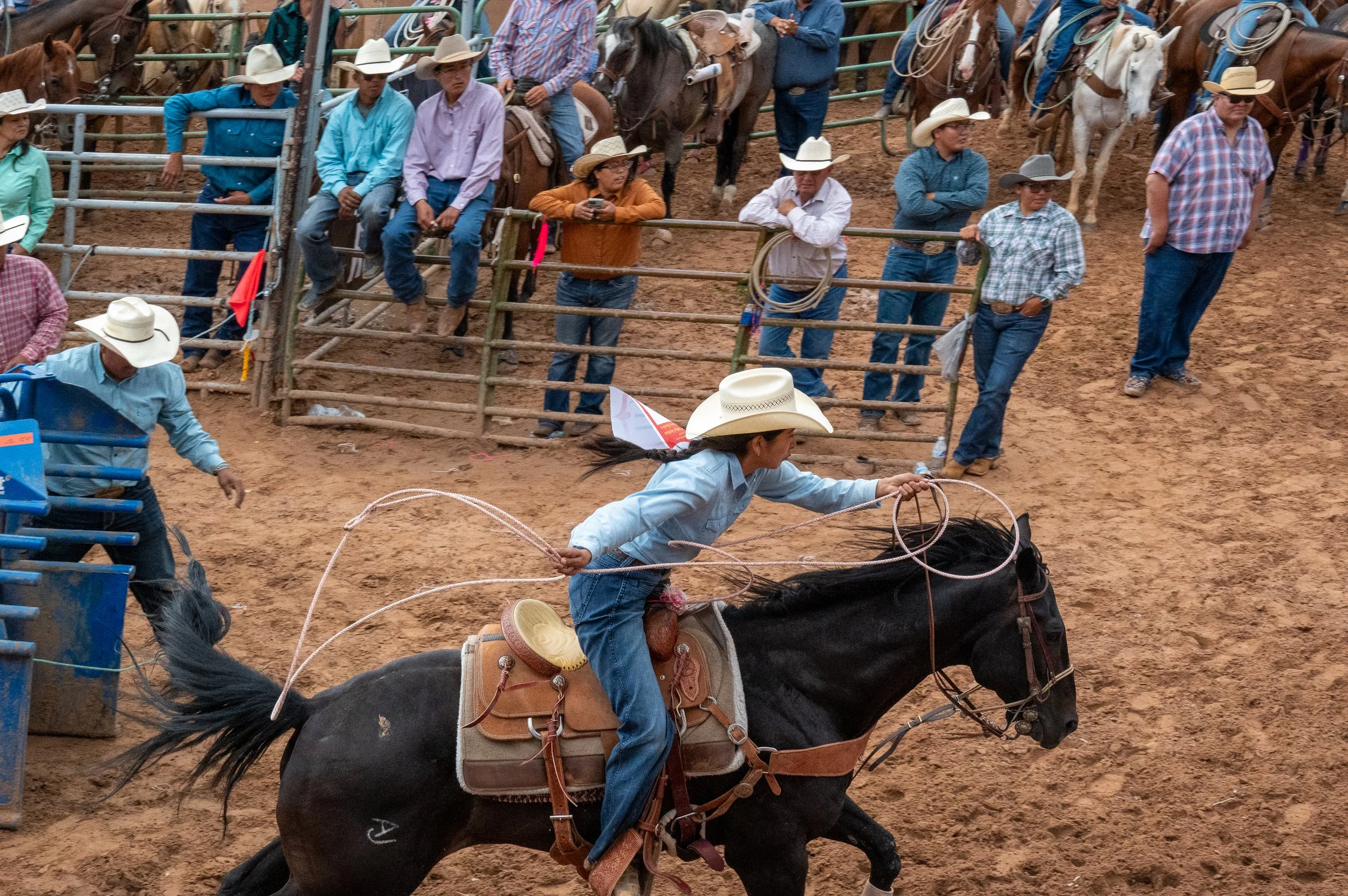 Woman rodeo competitor races from the box