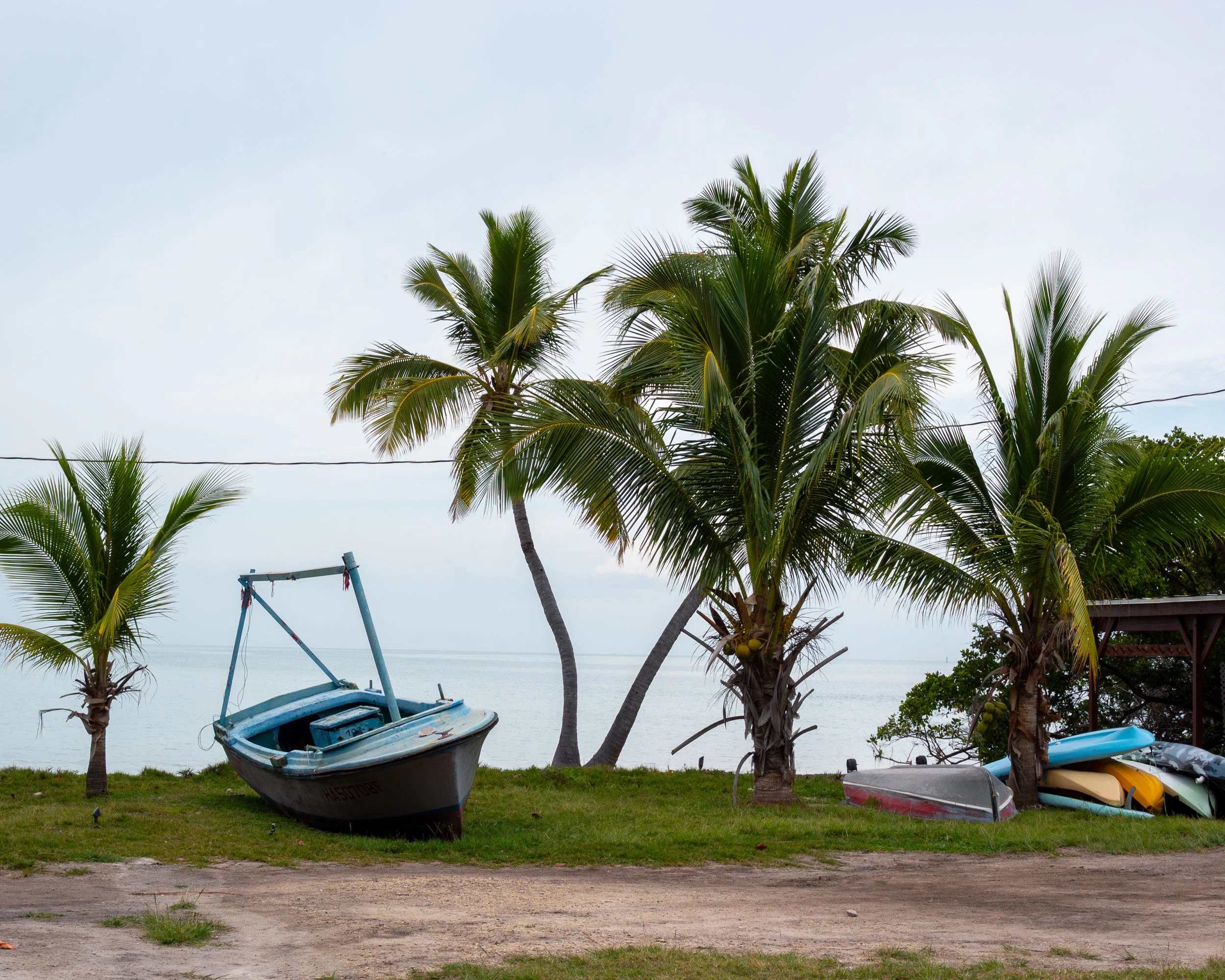 A tropical scene with palm trees, a boat on grass, and kayaks stacked near a gazebo overlooking the ocean, in Pigeon Key, off Florida's east coast highway A1A.