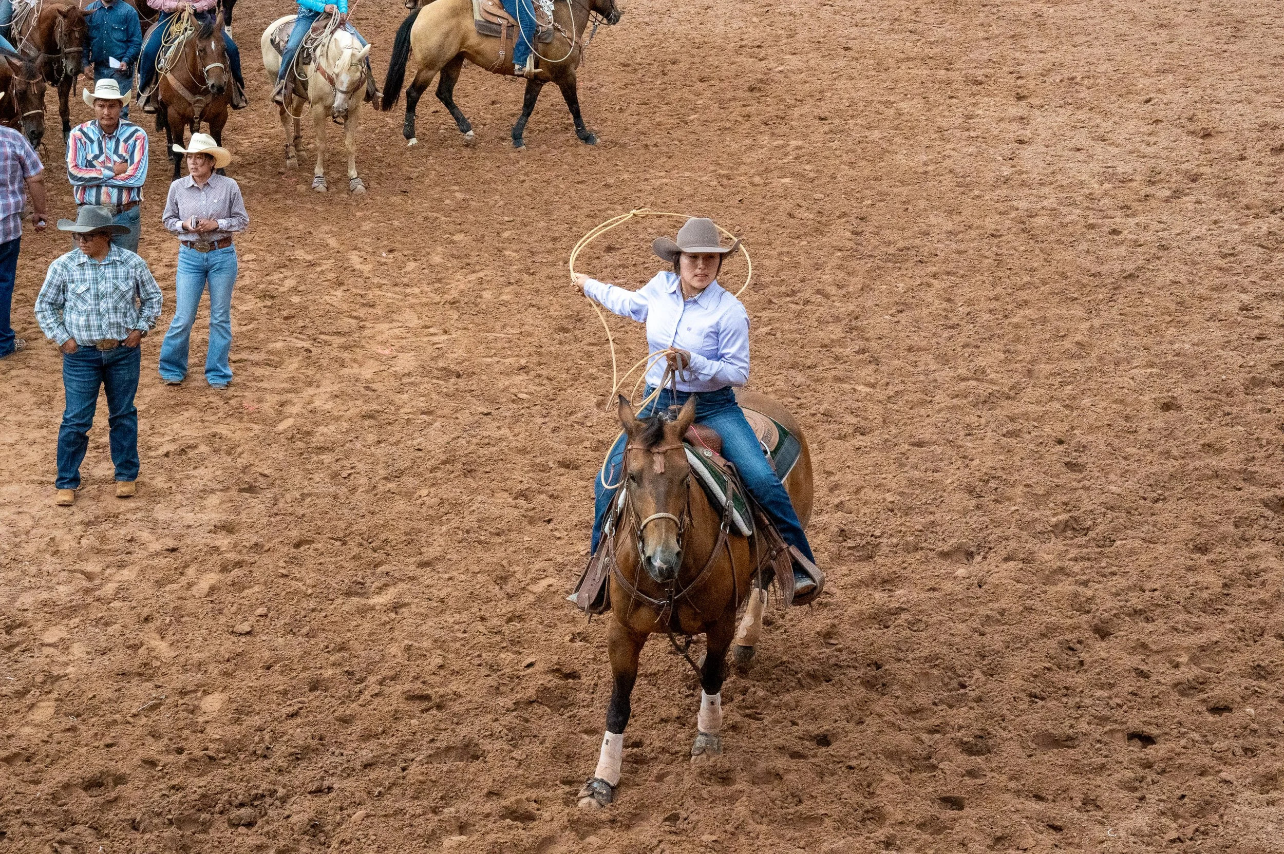 Woman competitor in the breakaway rodeo chases a calf with her rope raised