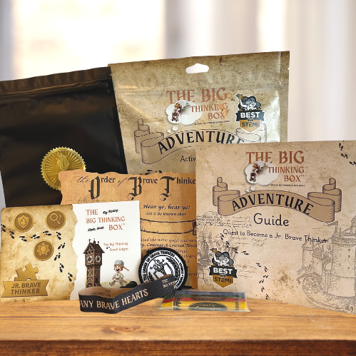 Collection of educational materials and swag for children, including a guidebook, activity book, badge, stickers, and a sheet of pirate-themed stickers, all themed around adventure and bravery.
