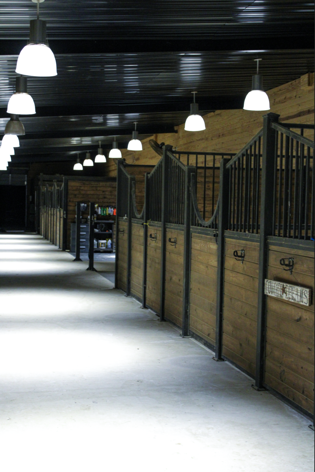 Empty horse stalls in a stable with bright overhead lighting and wooden walls